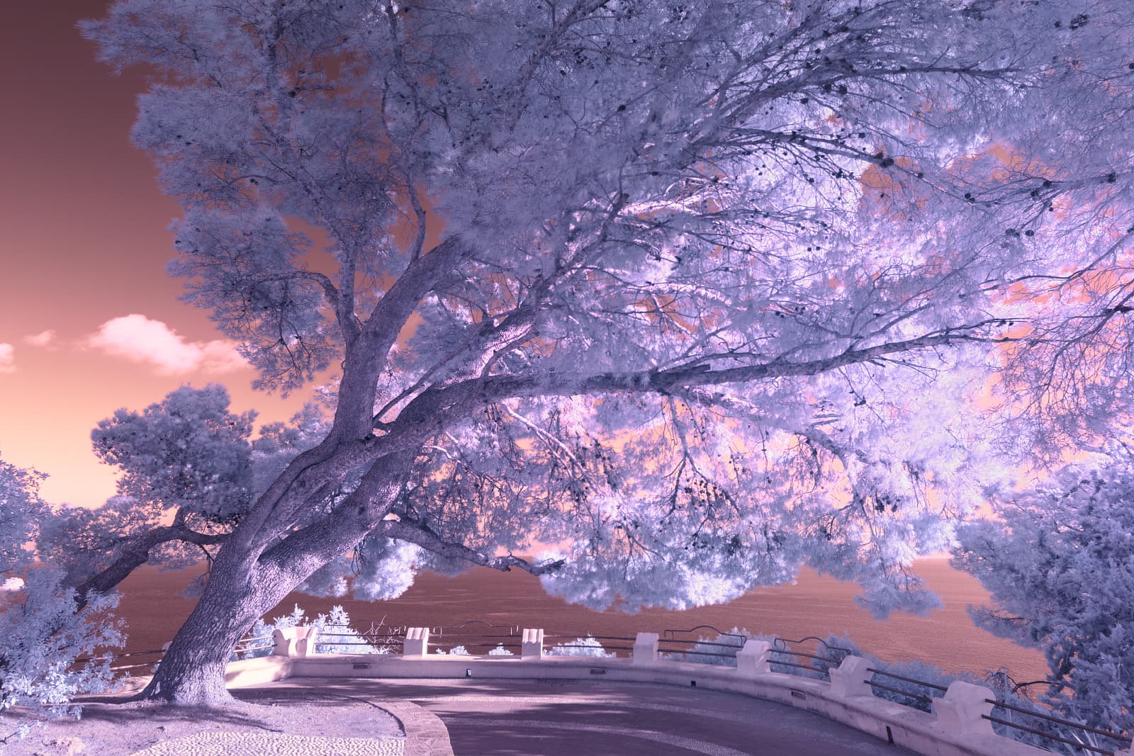 Realm of the beyond 3