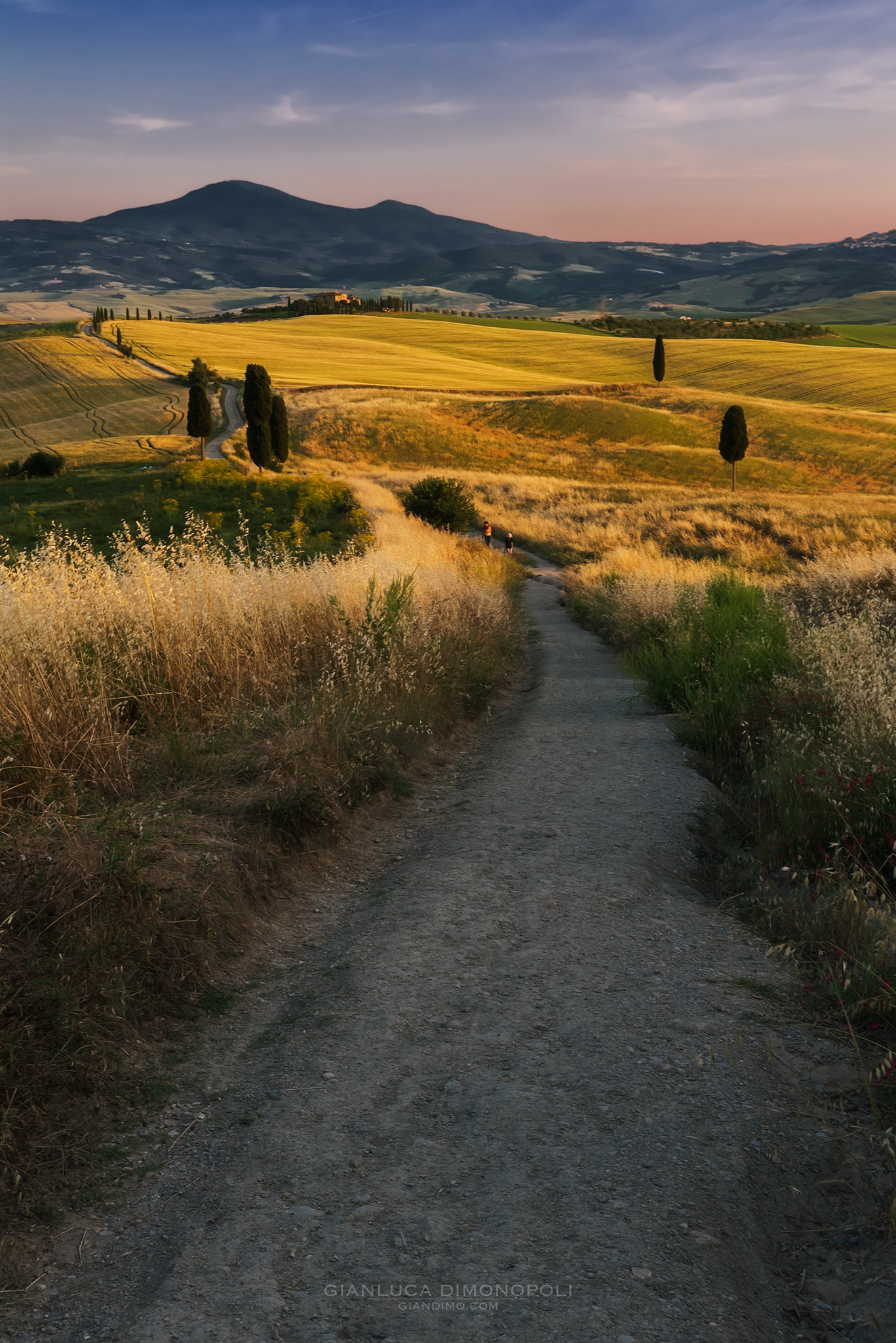 Sulla via di Massimo