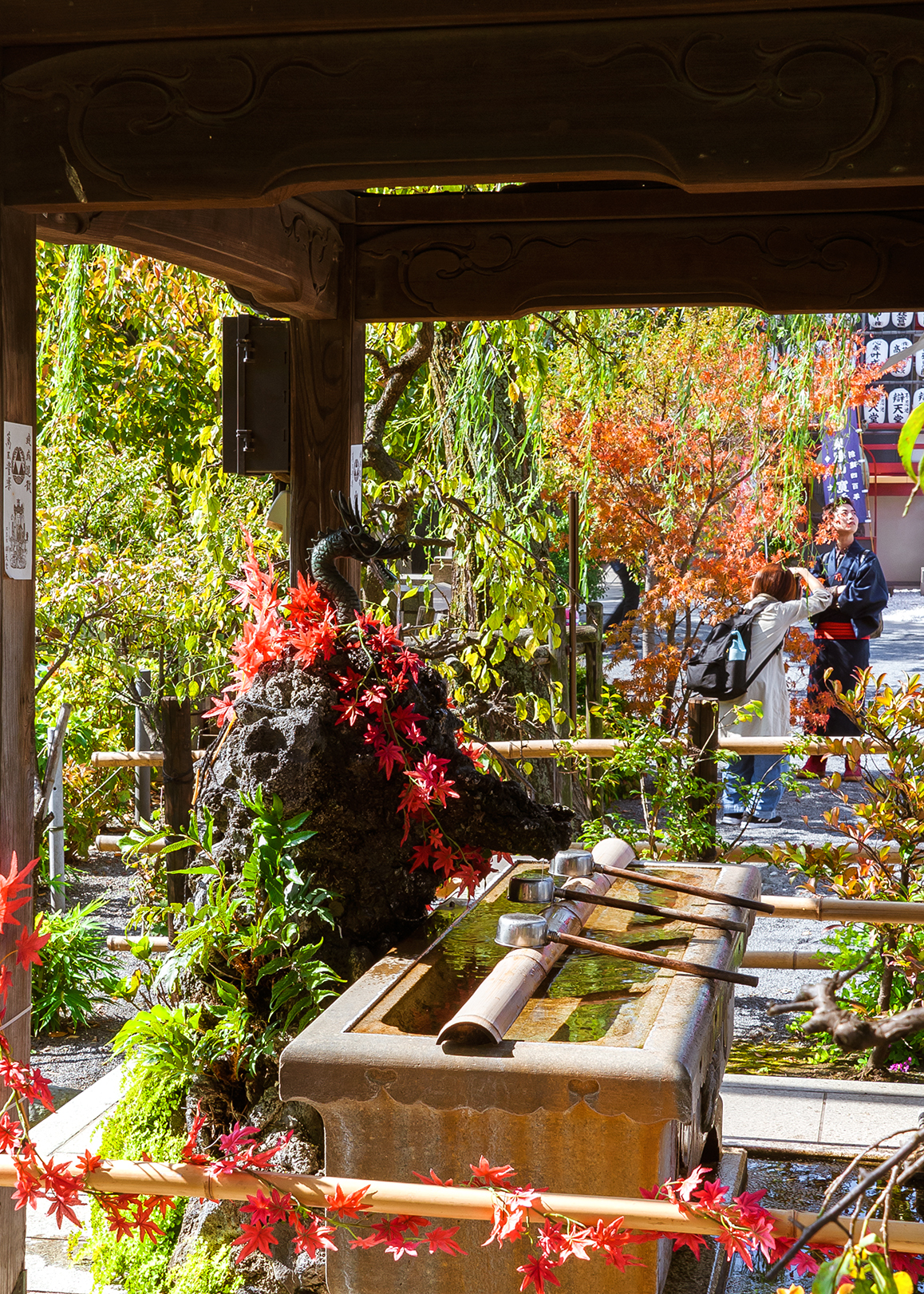 Autunno Vanesio