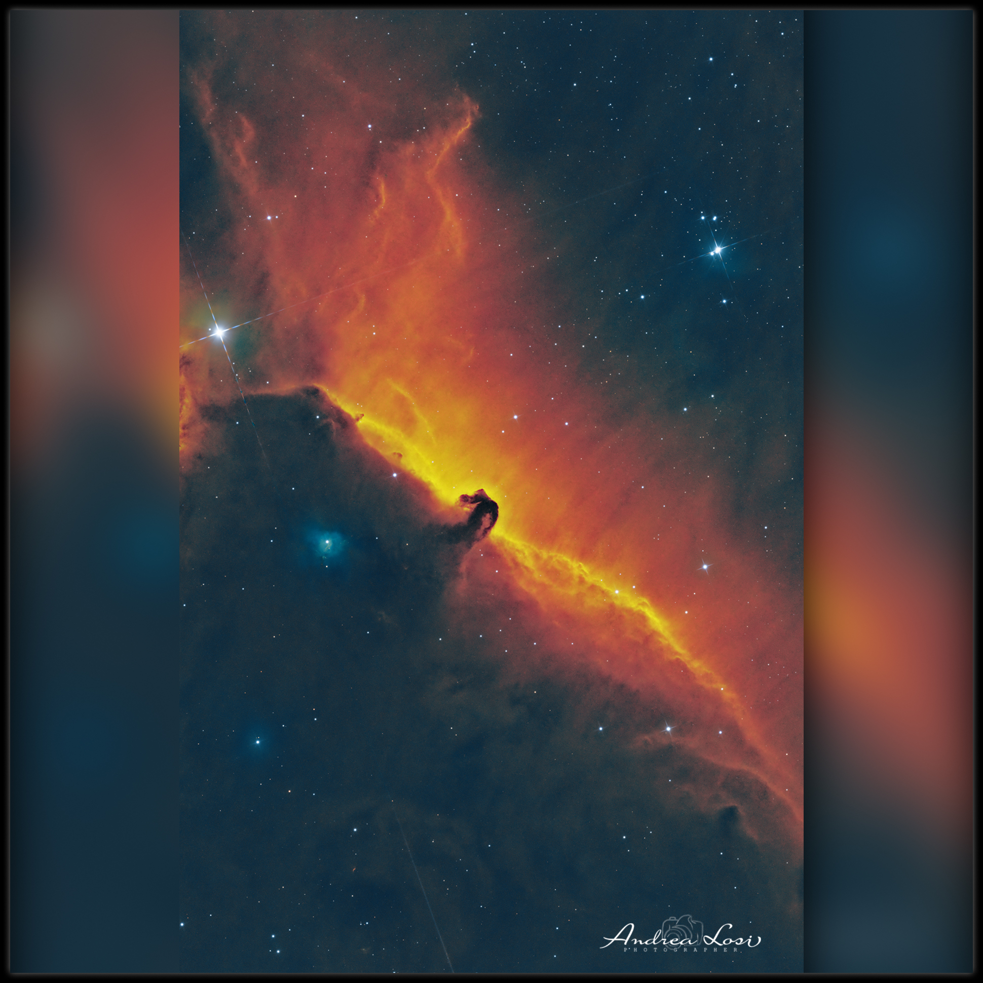 Sh2-277 Flame Nebula, Horse Head, and more of Orion