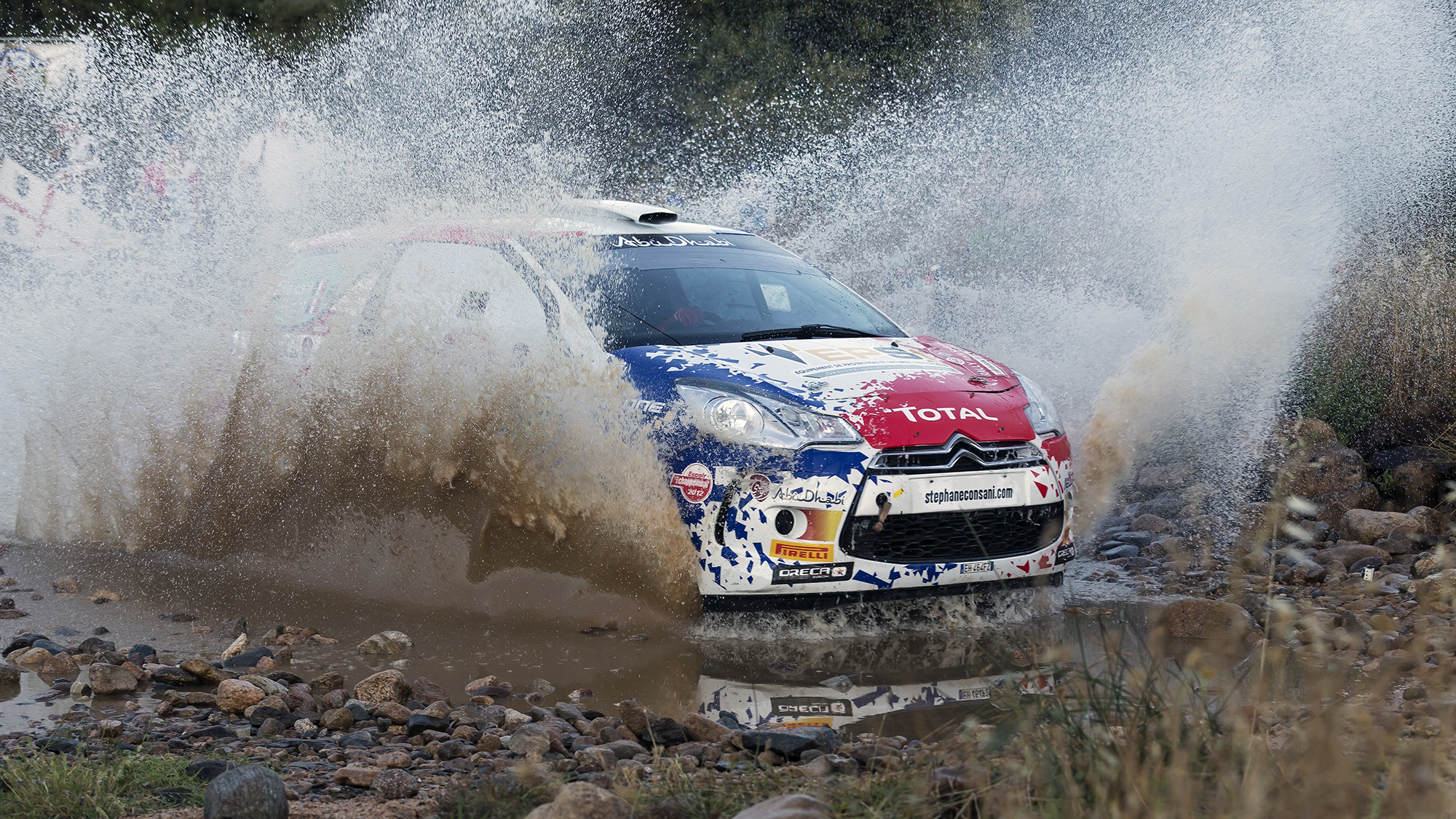 Rally Sardinia - Fords