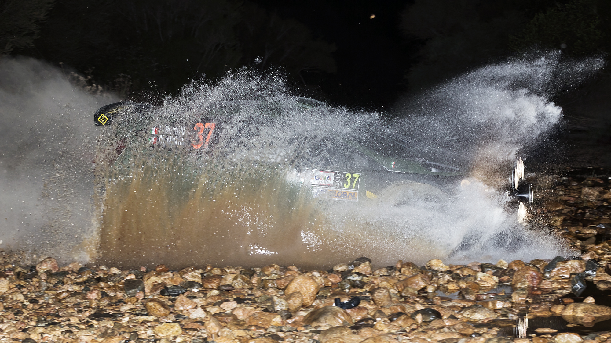 Rally Sardinia - Fords