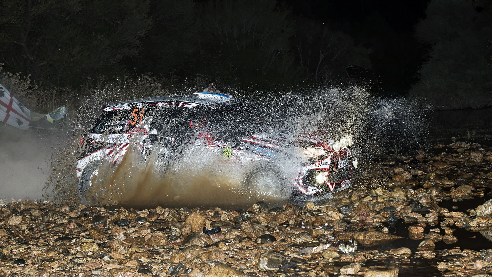 Rally Sardinia - Fords