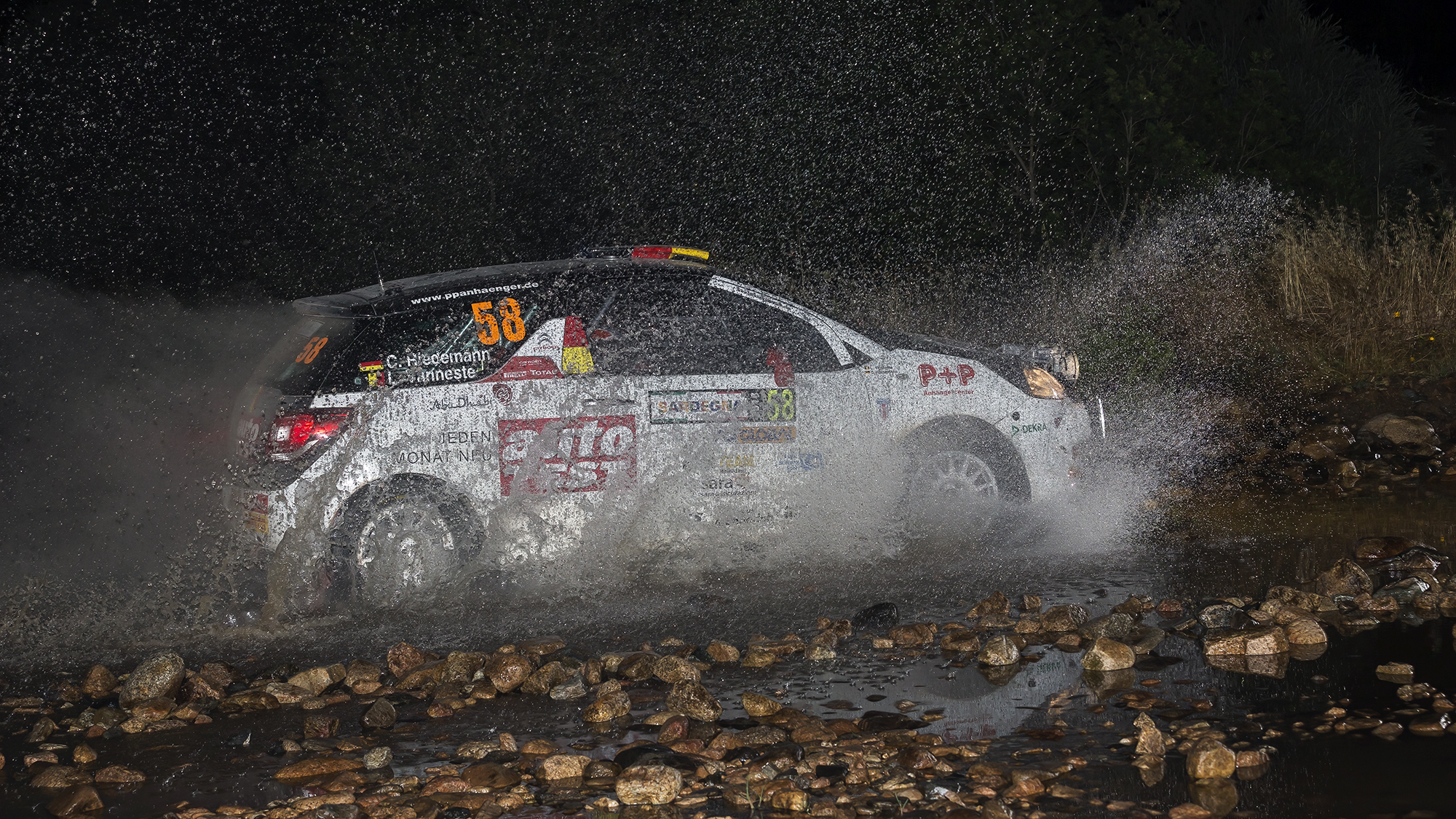 Rally Sardinia - Fords