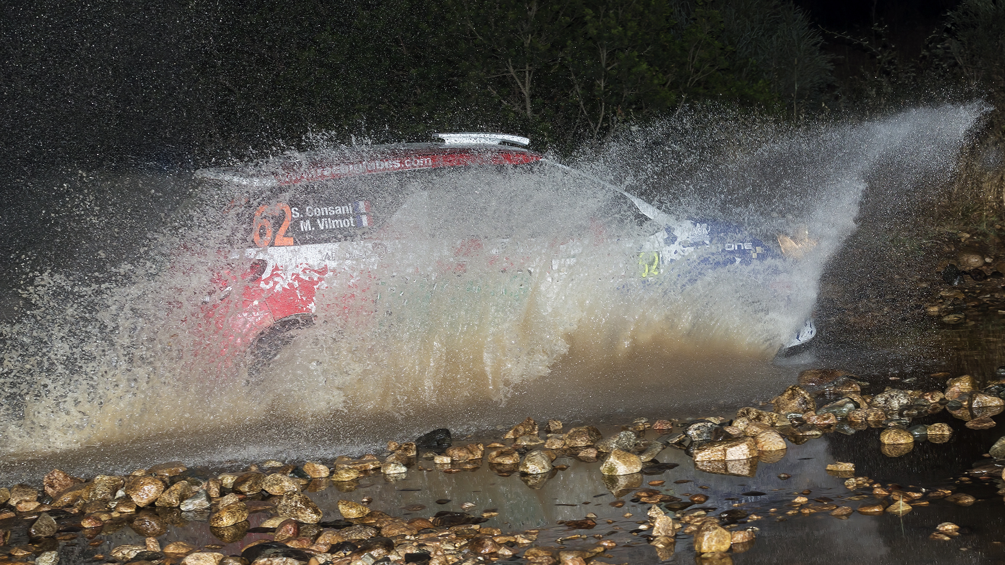 Rally Sardinia - Fords