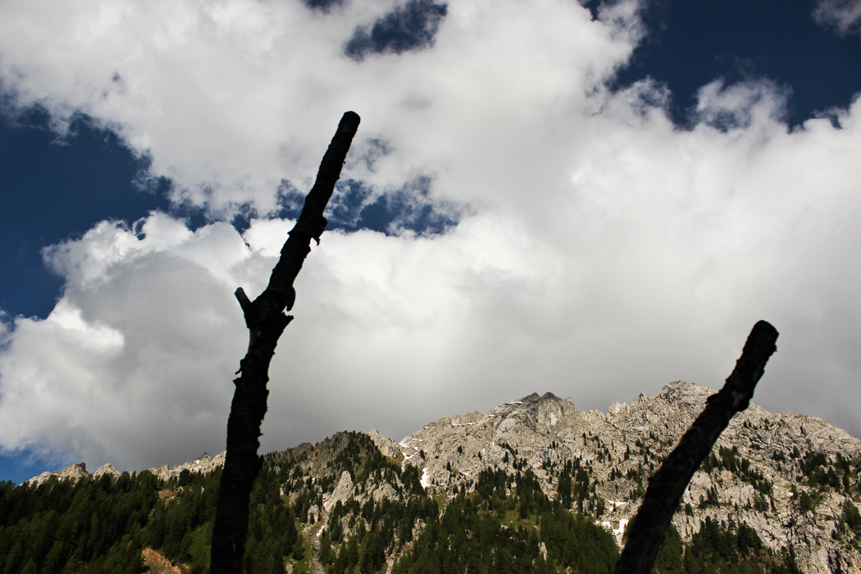 Between two pieces of wood