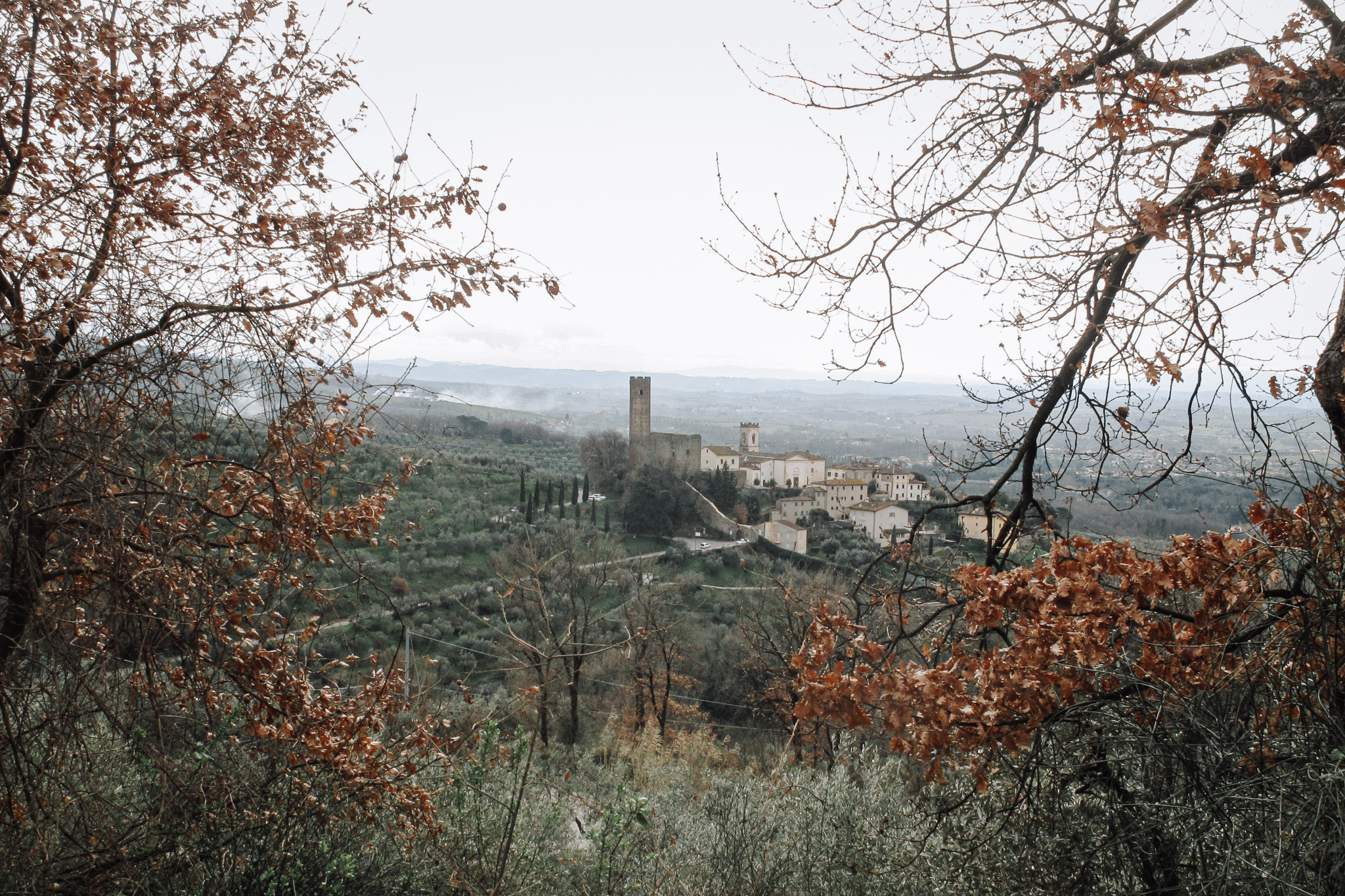 Larciano in a natural setting