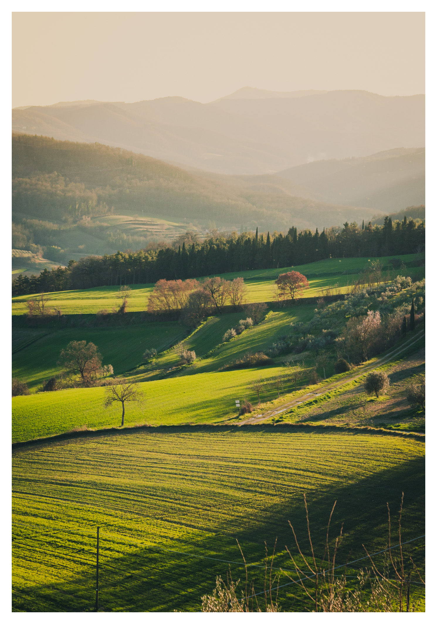 The last caress of the day