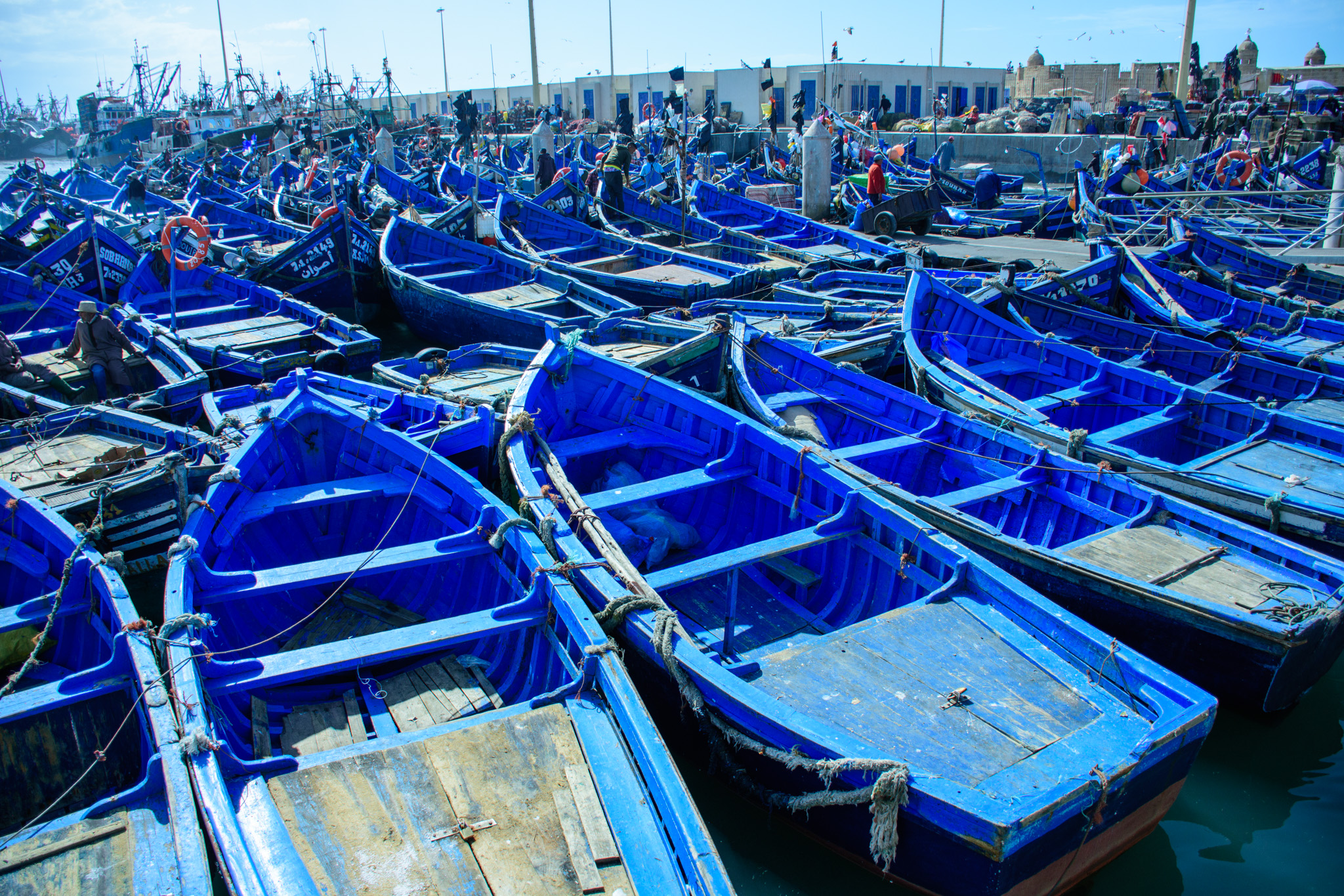 The boats of Essaouira