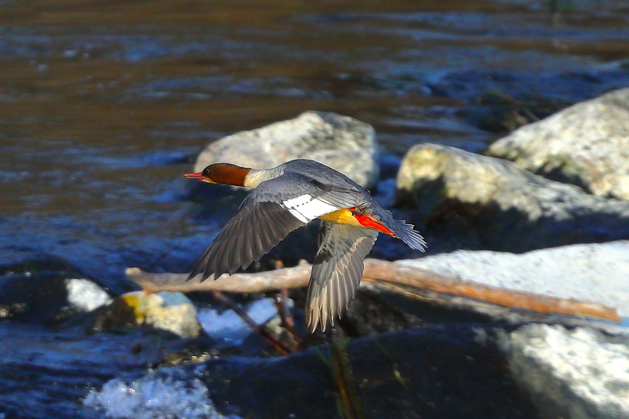 Smergo F 09 novembre 2024 - 0327