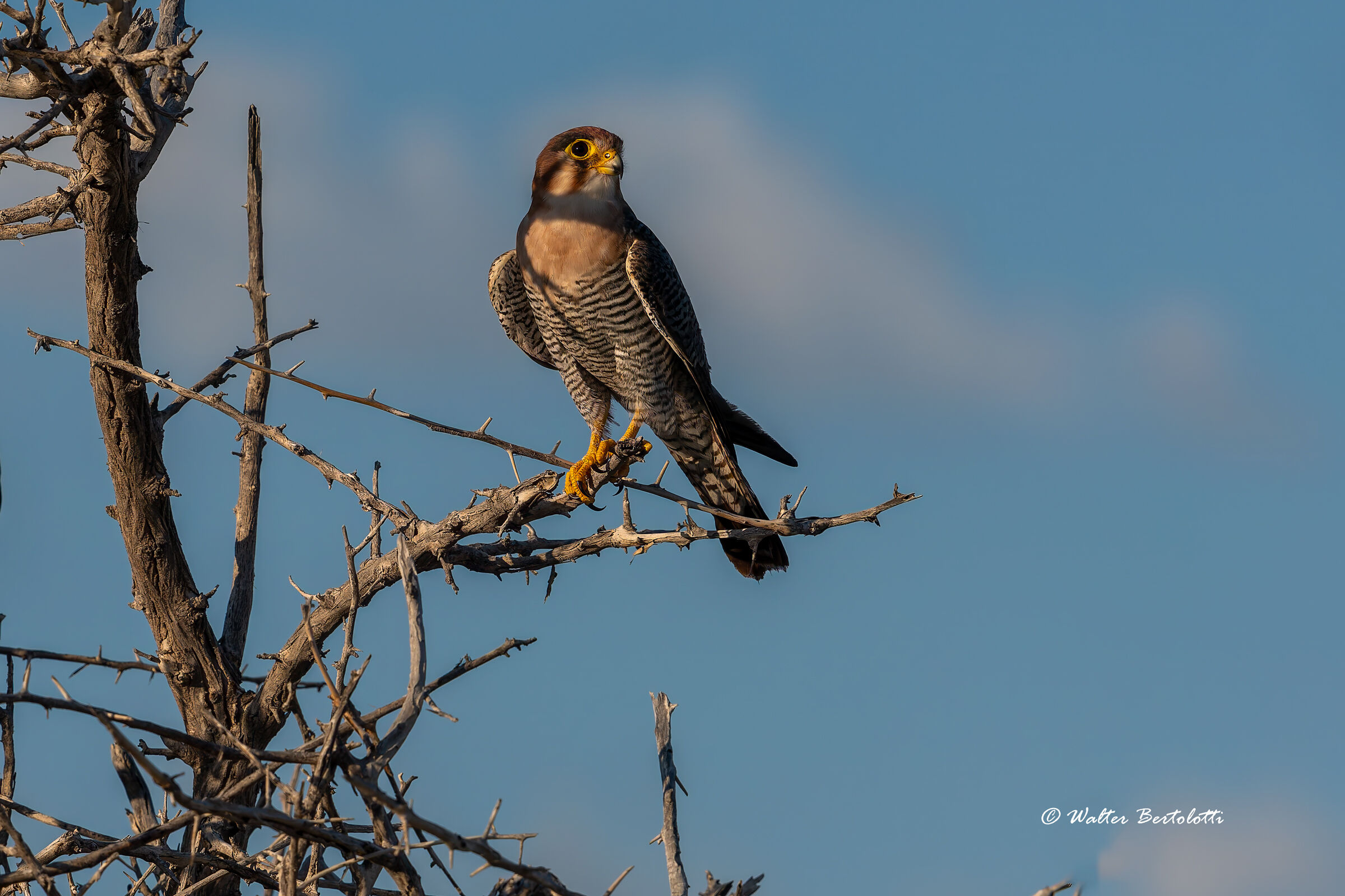 osservazione territoriale