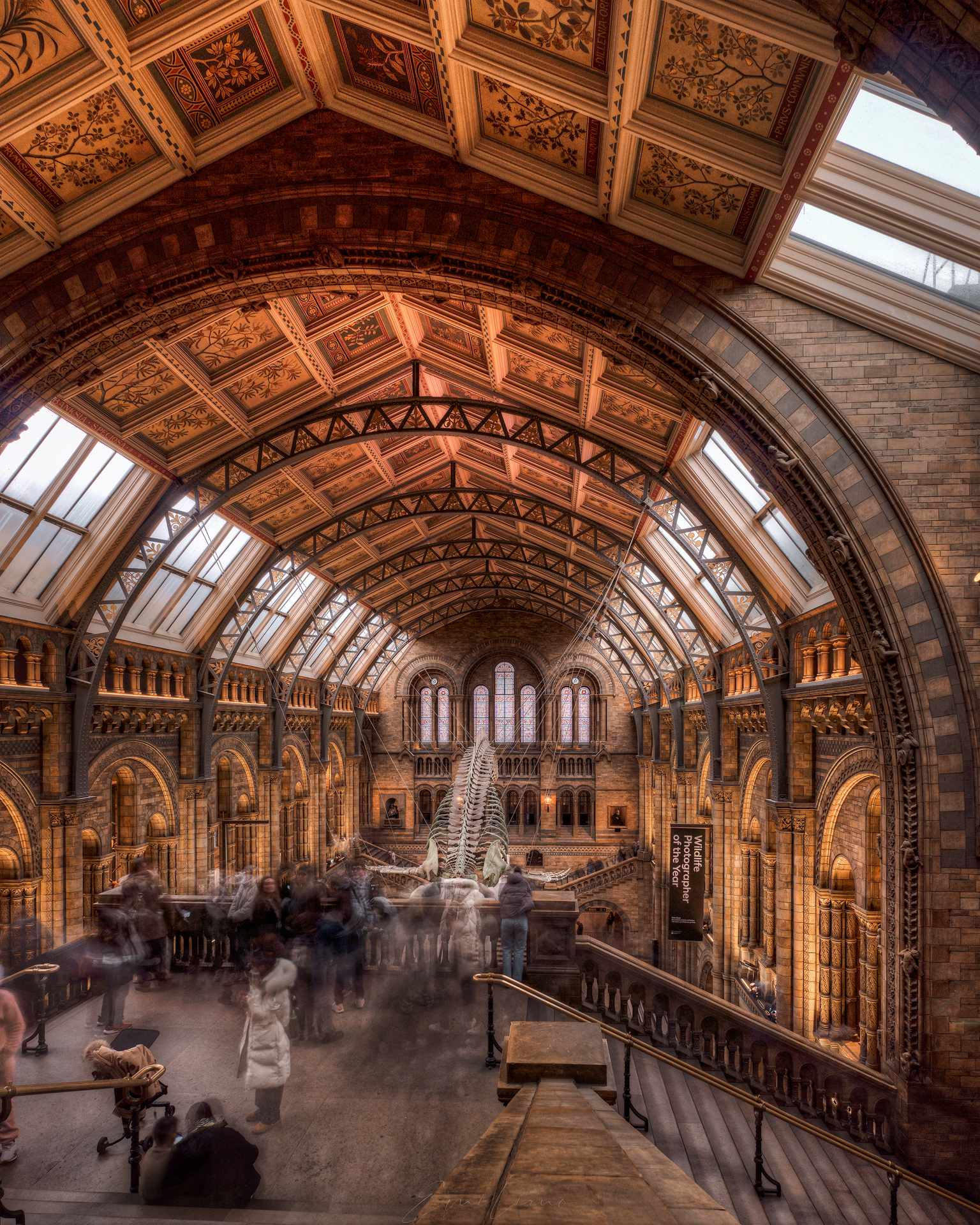National History Museum Londra - Long Expo