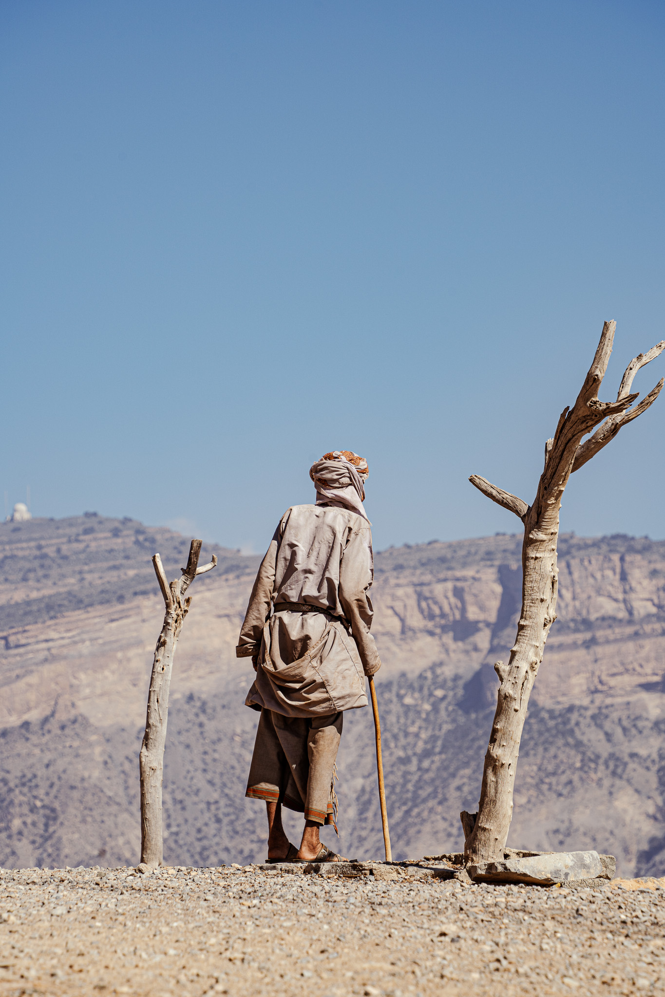 The shepherd