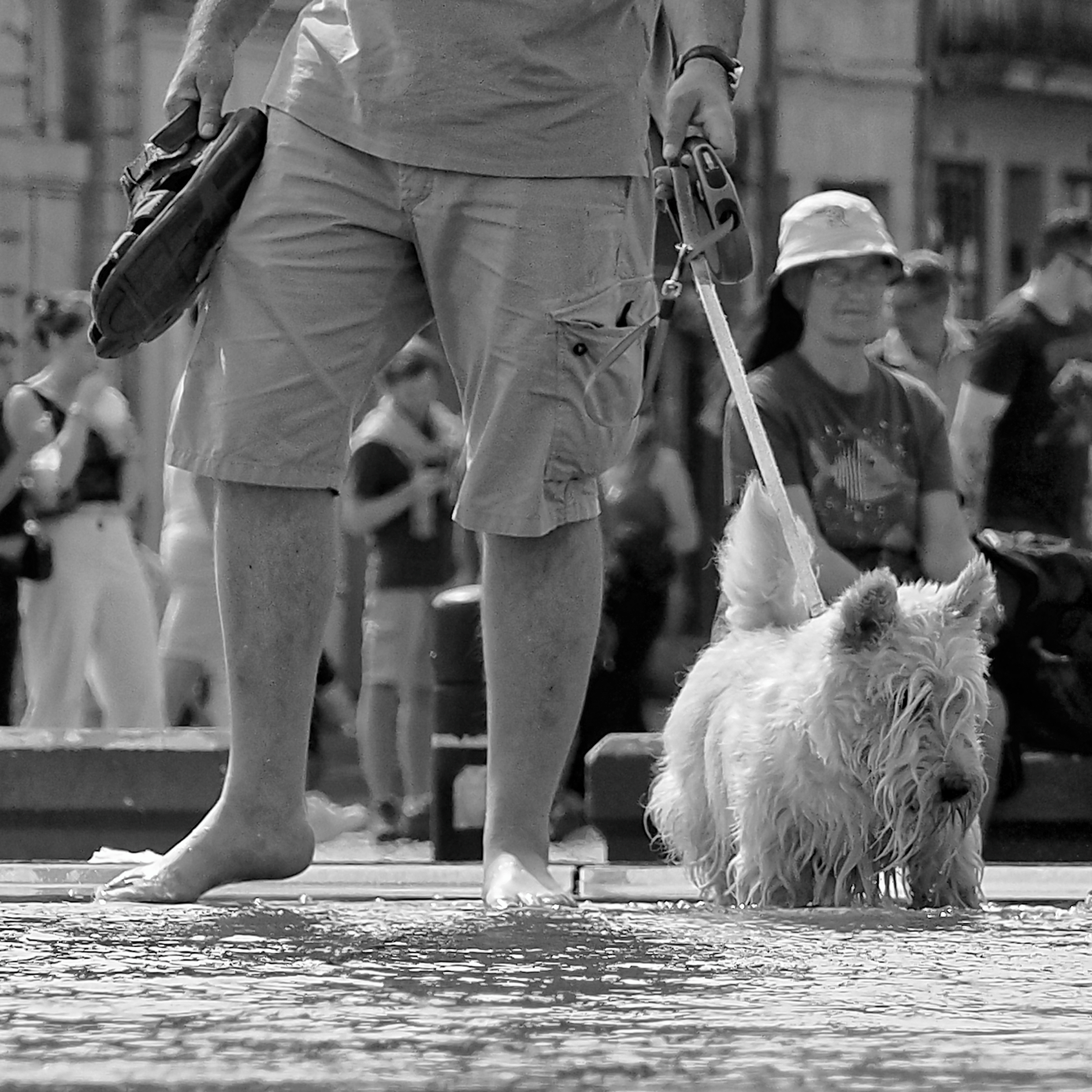 BORDEAUX_2024 (_8181893-1)