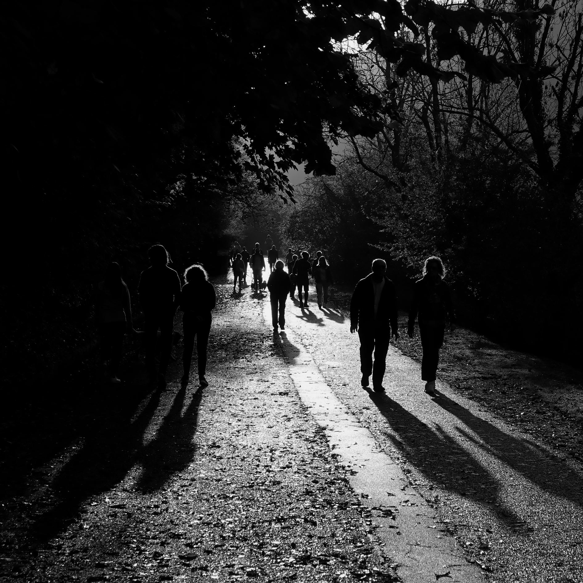 SEGRINO_2024 (_DSC3785-2)