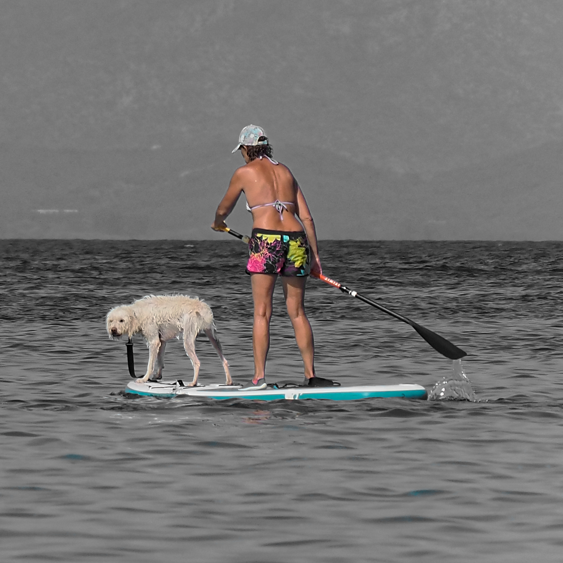 PORQUEROLLES_2024 (_8251855-1)