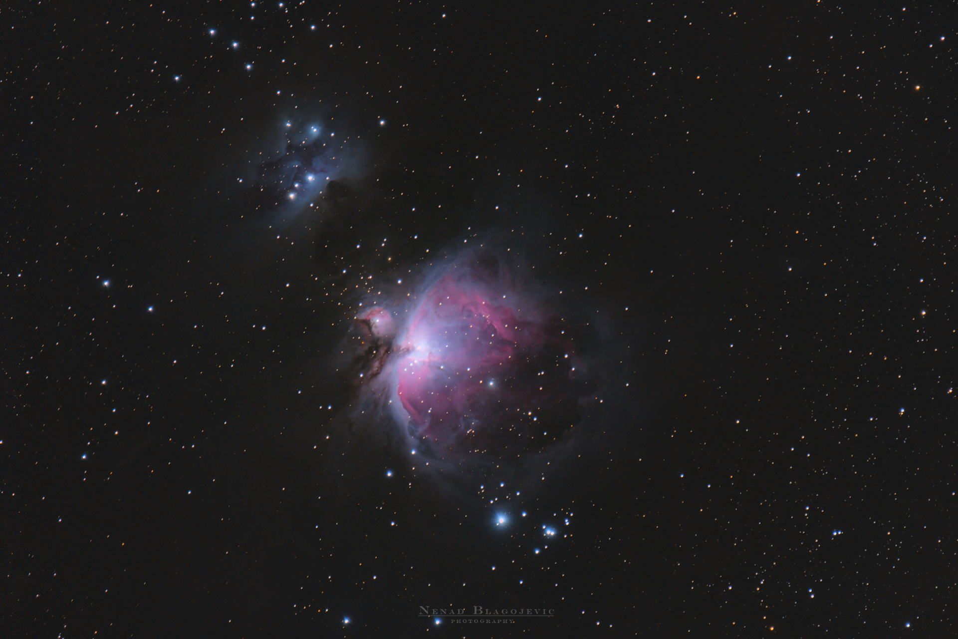 Orion