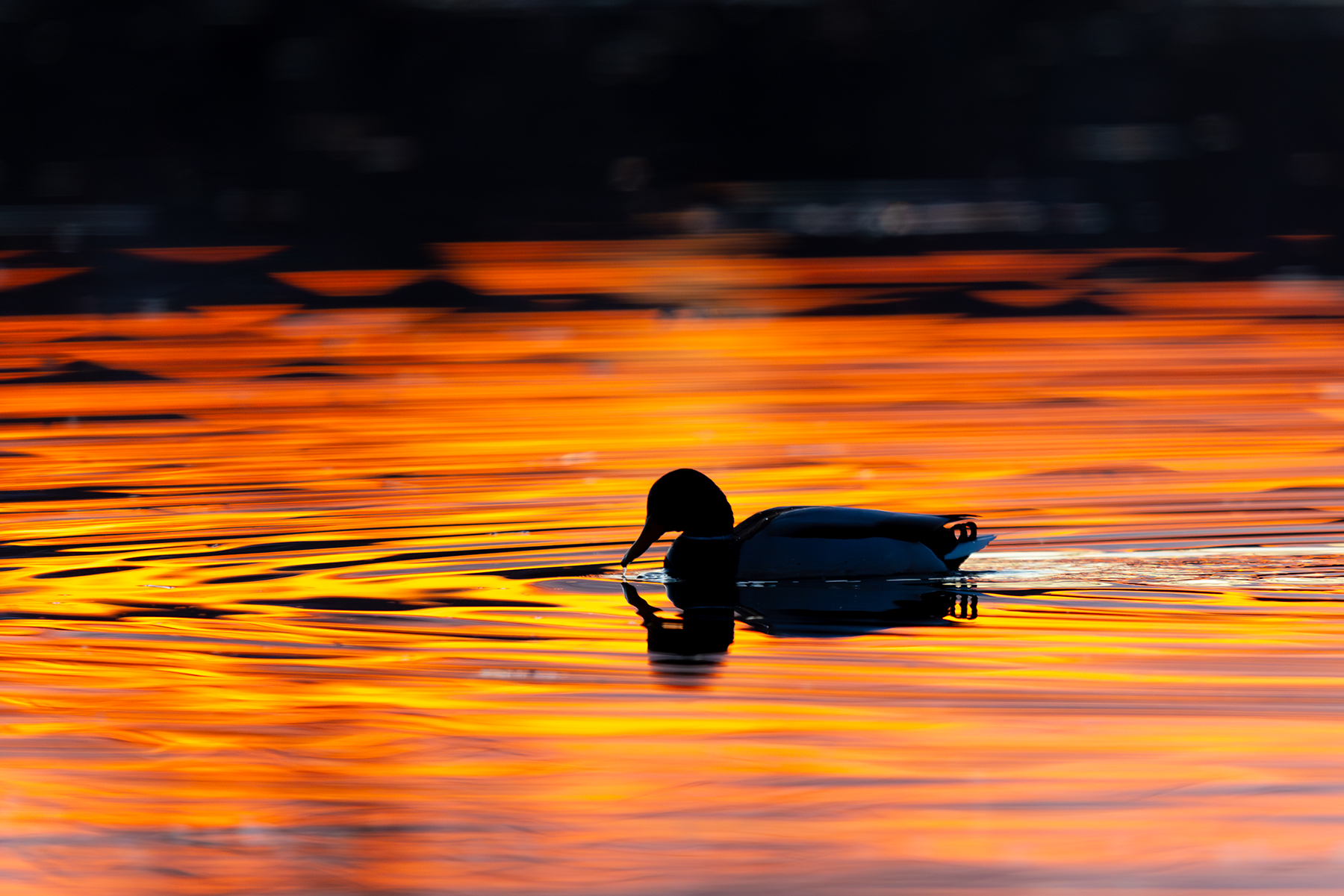After sunset