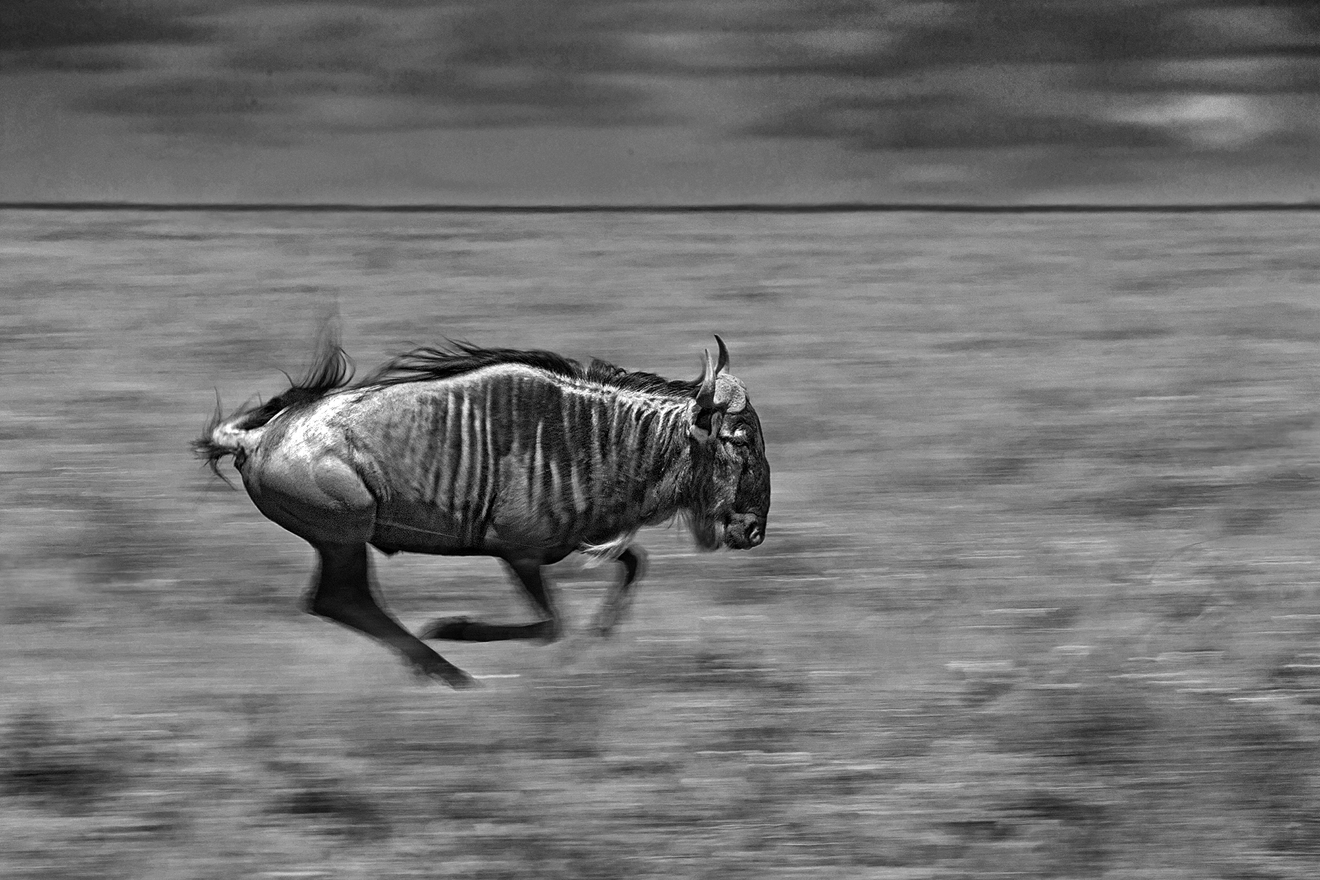 The runner