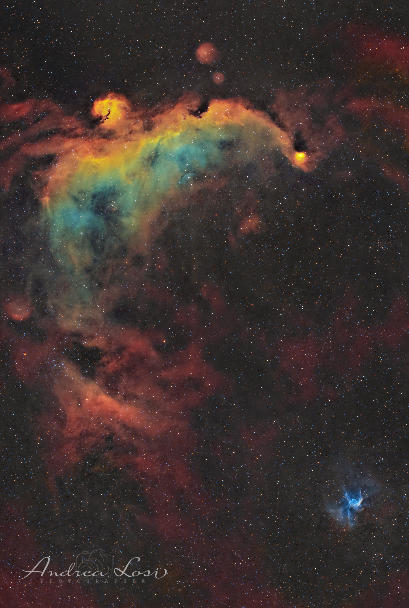 La Nebulosa Gabbiano & l'Elmo di Thor