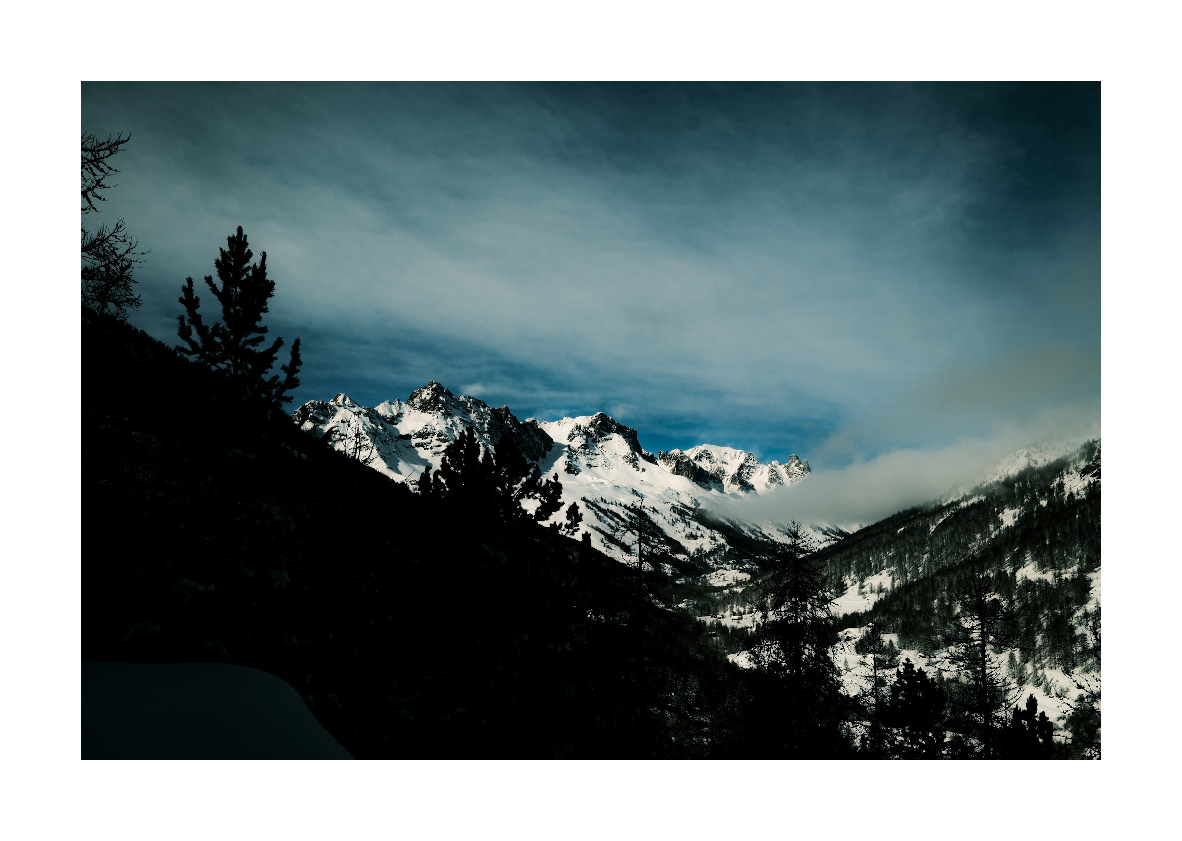 Untitled Photo