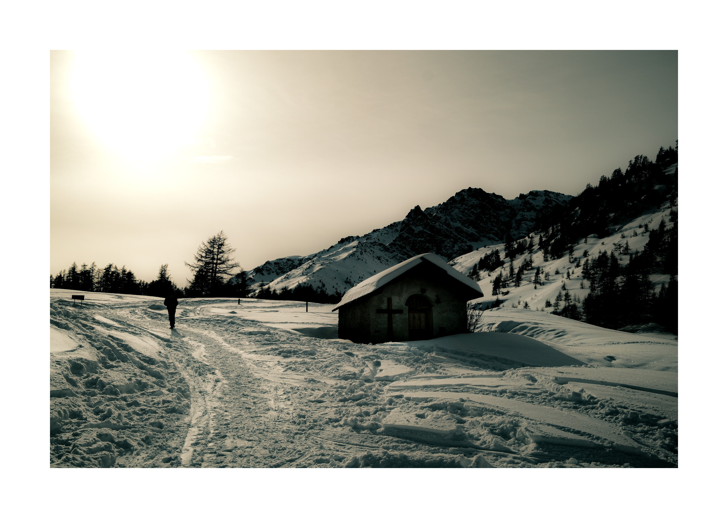 Untitled Photo