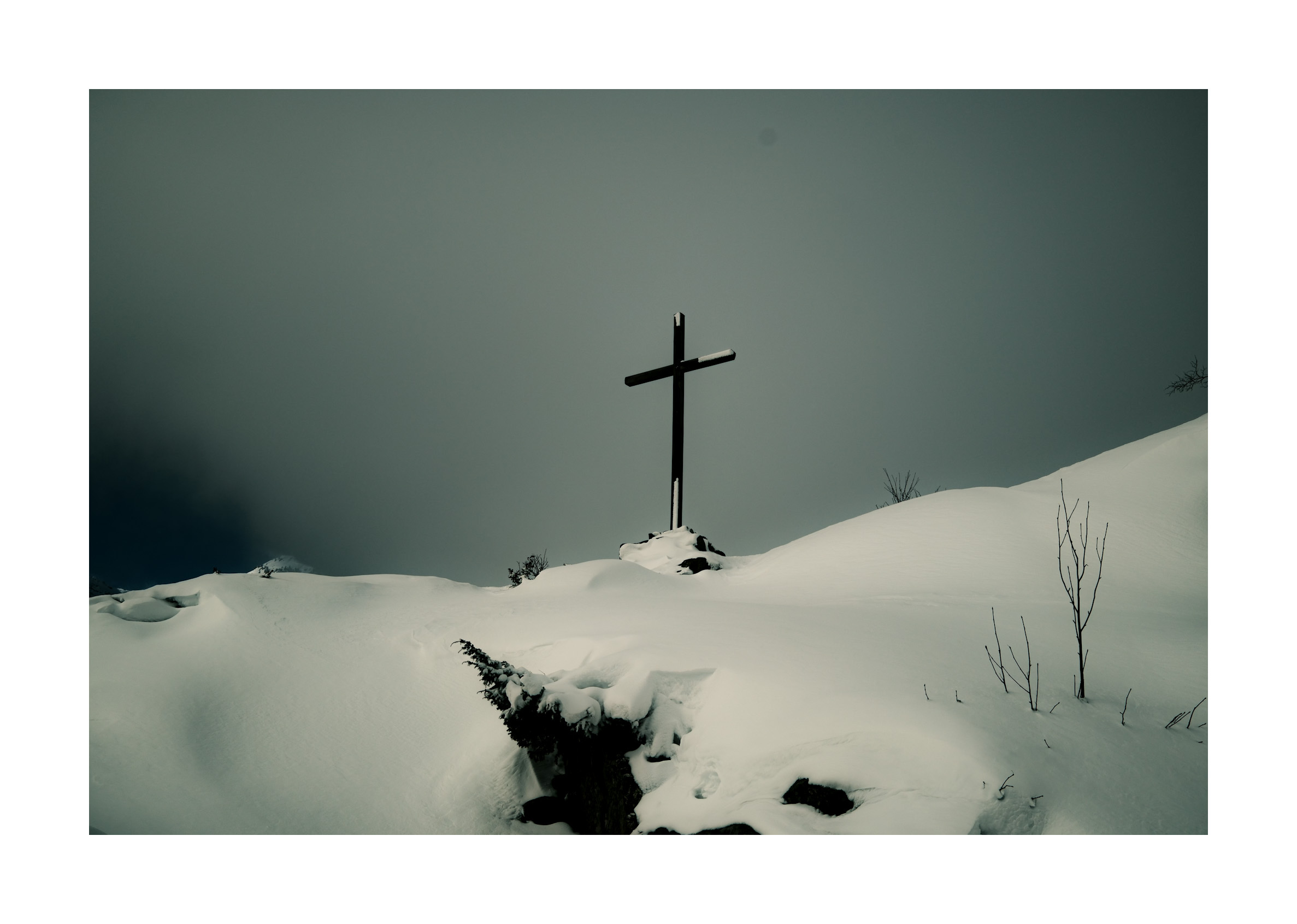 Untitled Photo