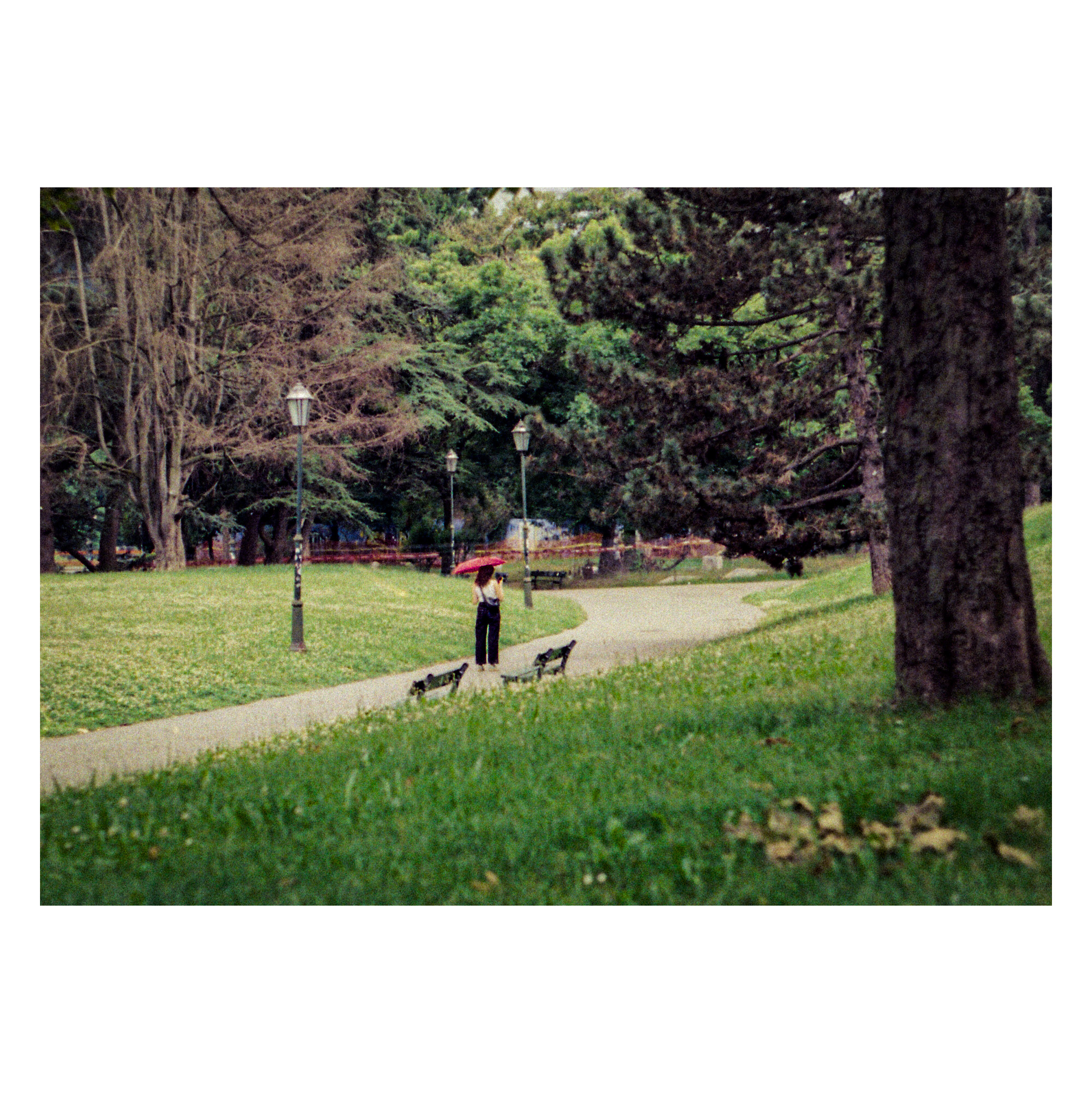 Untitled Photo