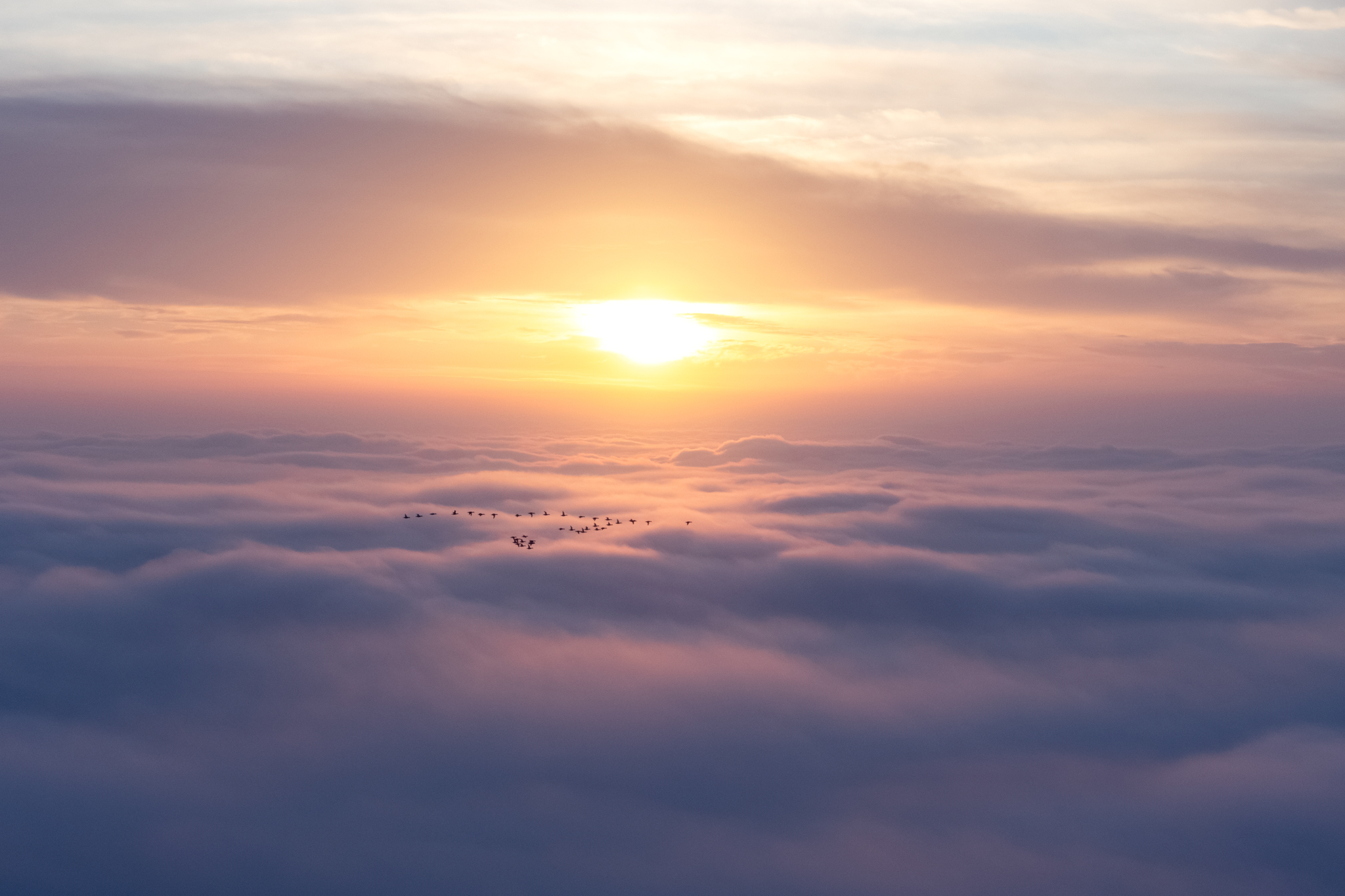 Appena sopra la nebbia