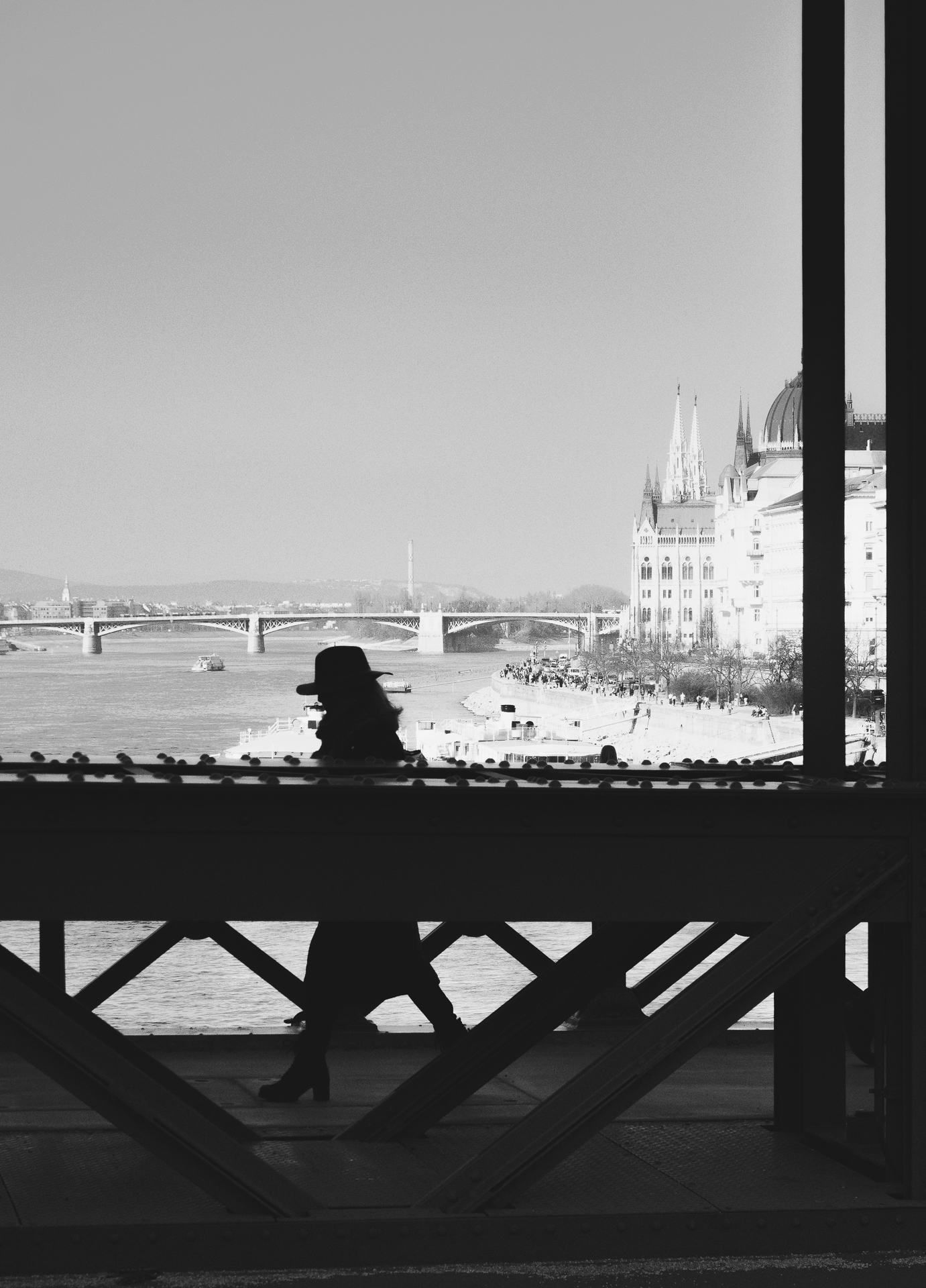 la signora e il Parlamento