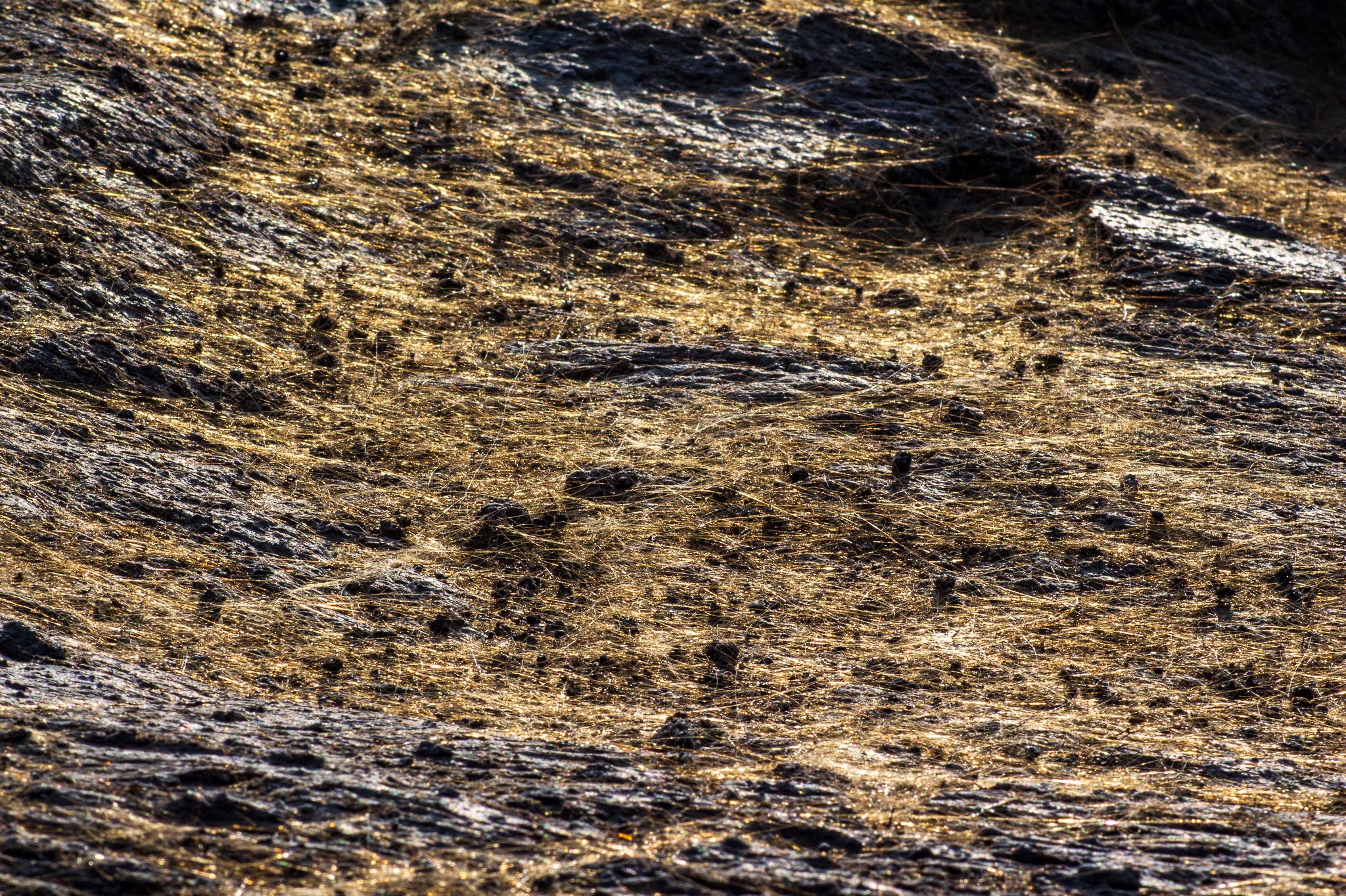 Lana di roccia...vulcanica