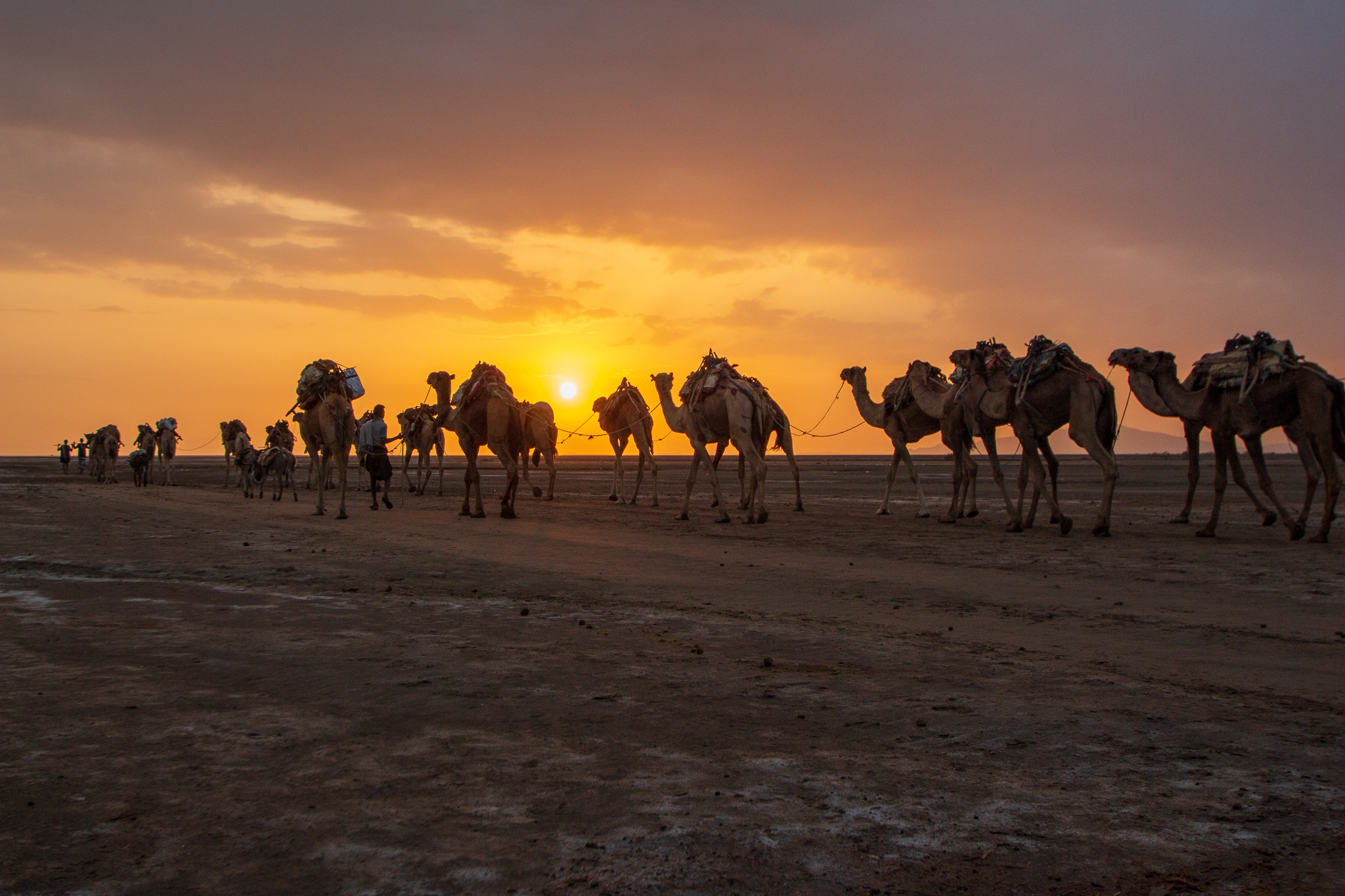 I carovanieri si alzano presto