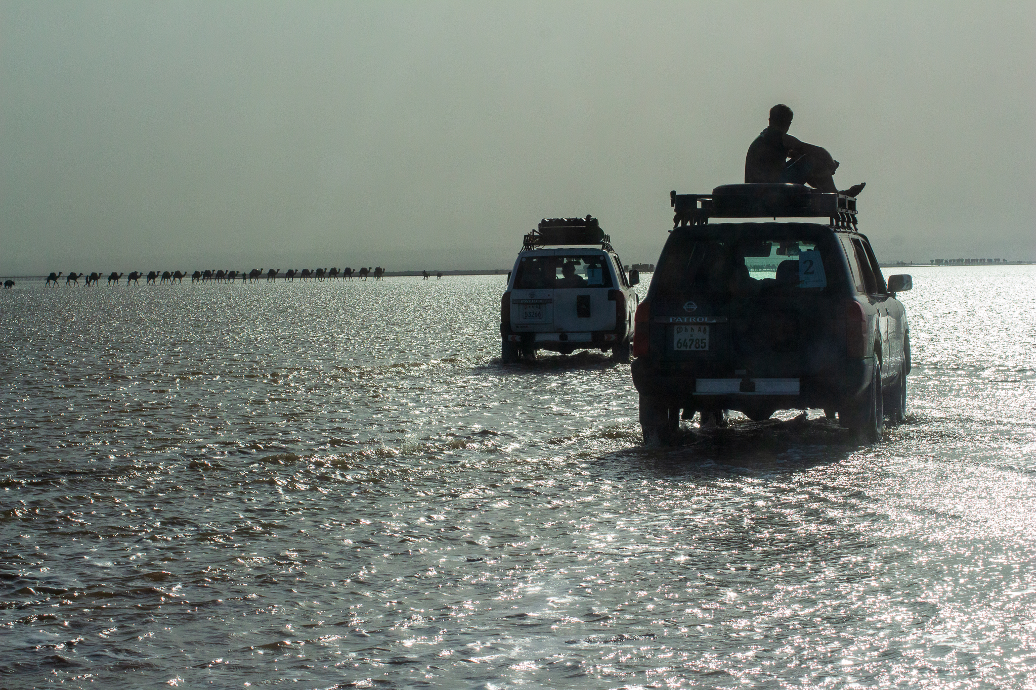 Seguendo la carovana