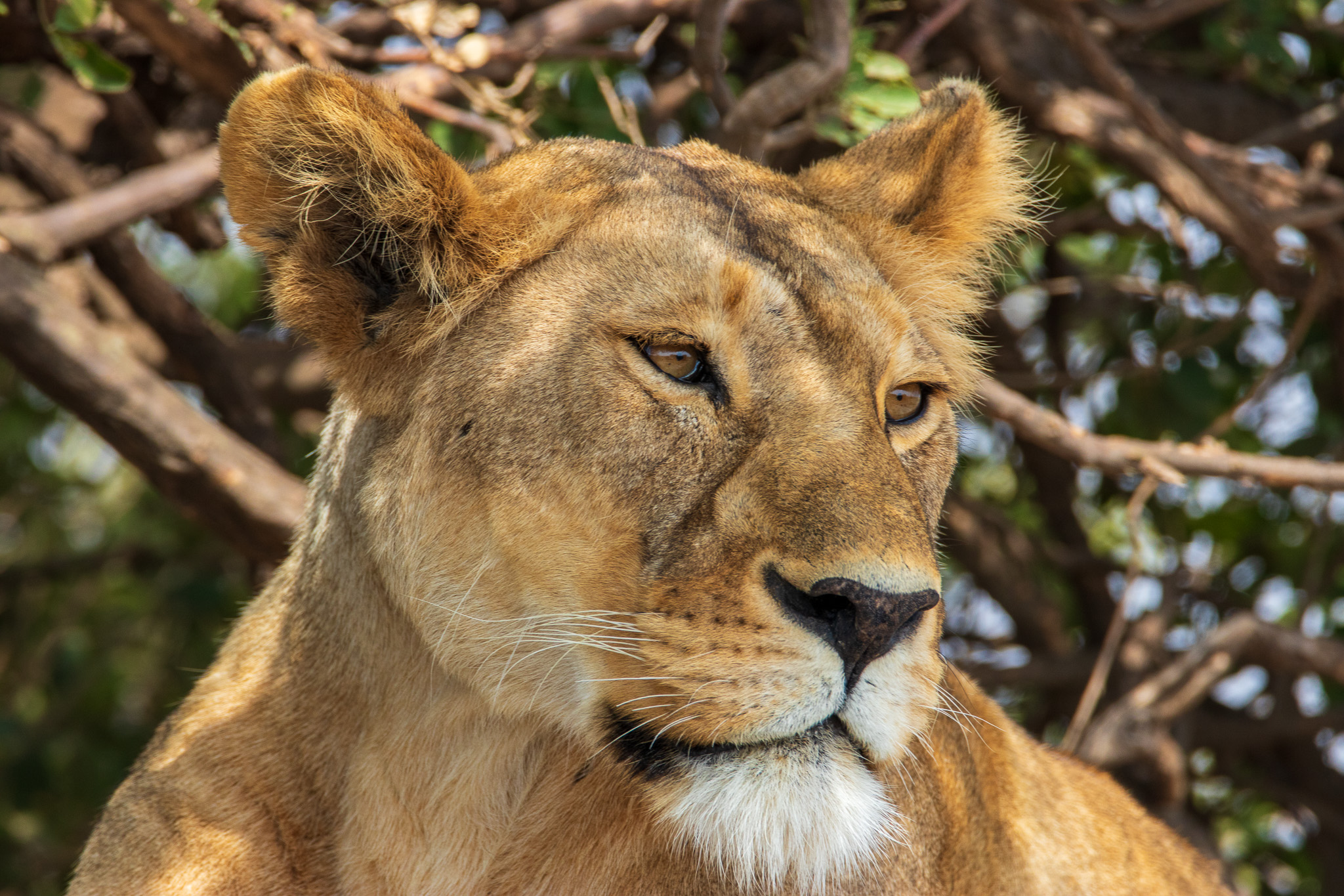 Che fastidio questi turisti