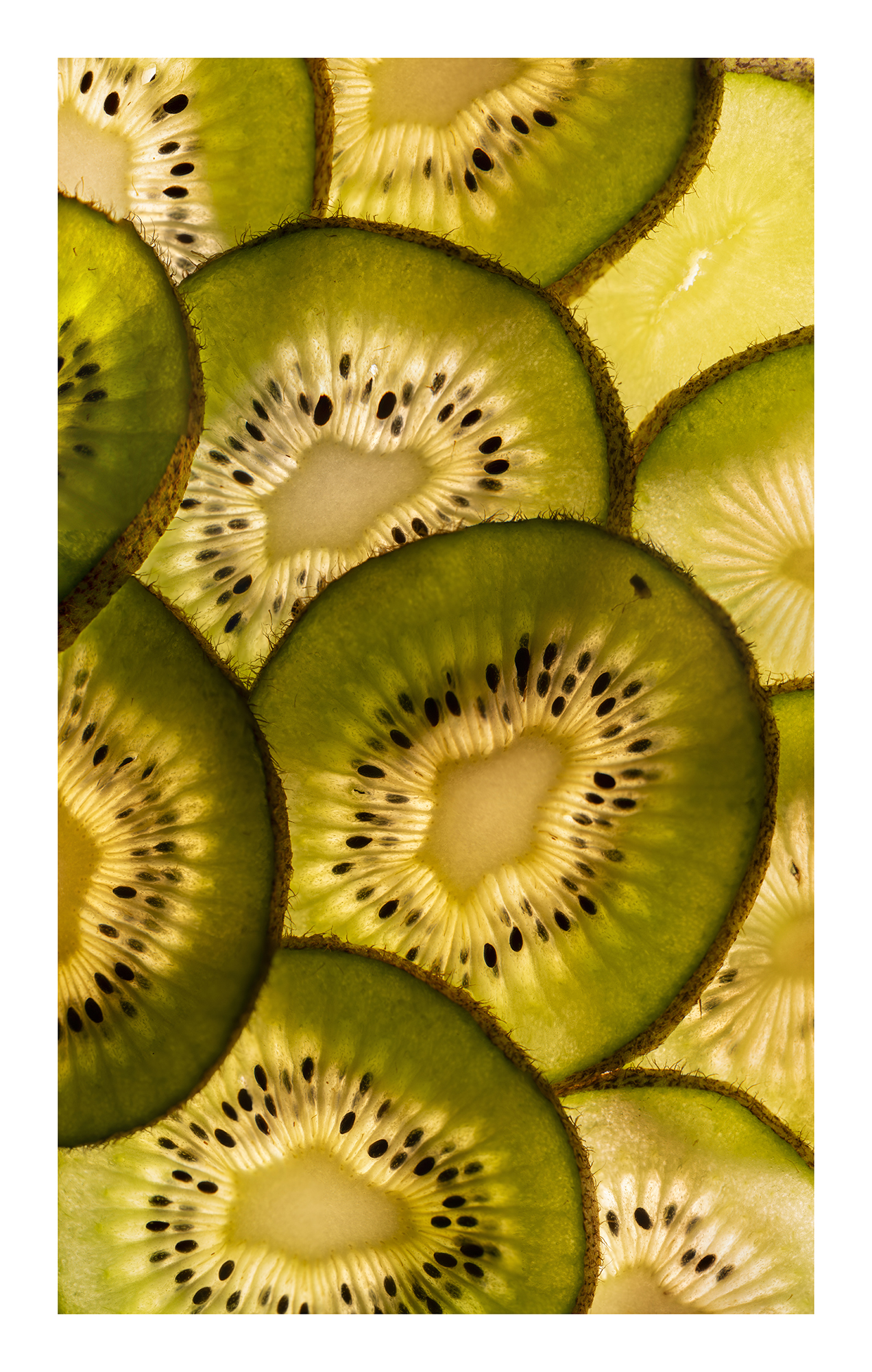 kiwi