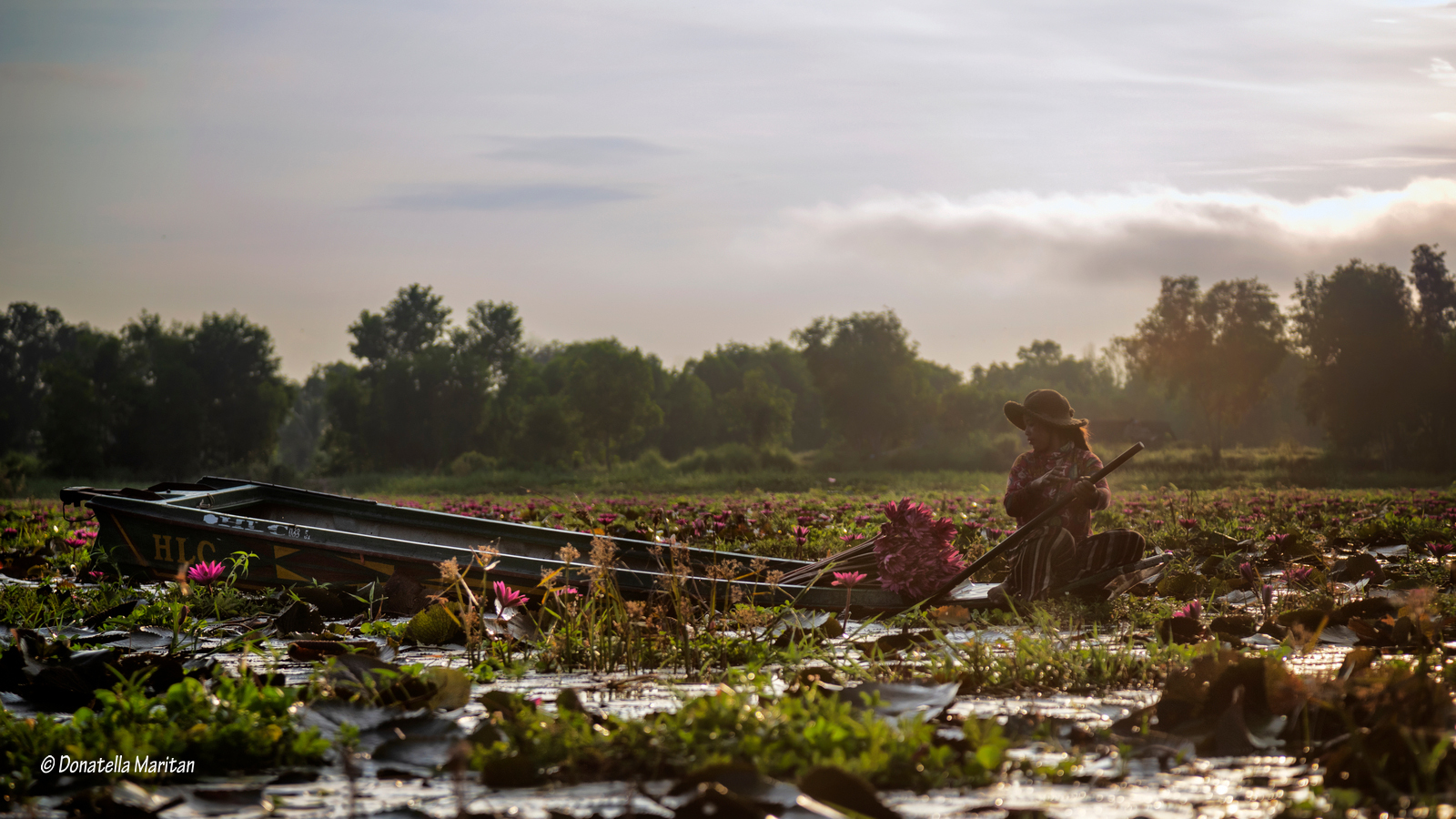 La raccolta dei fiori