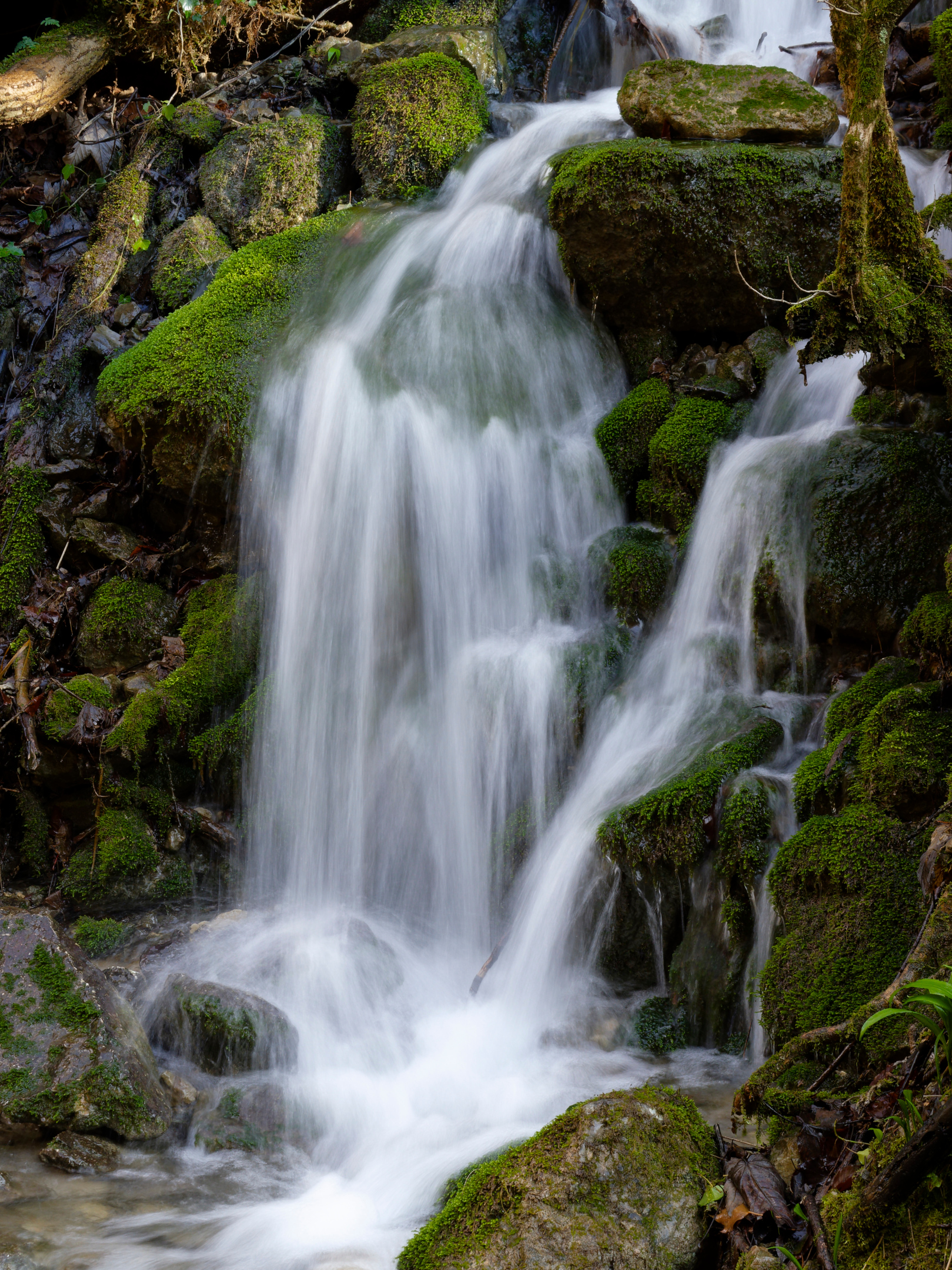 Waterfall in Val Ravella