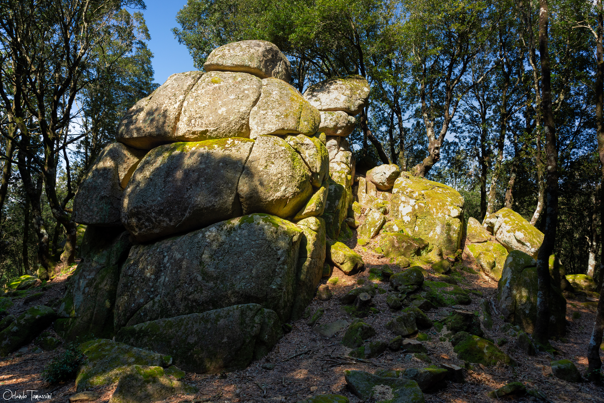 Geosite of Nardodipace