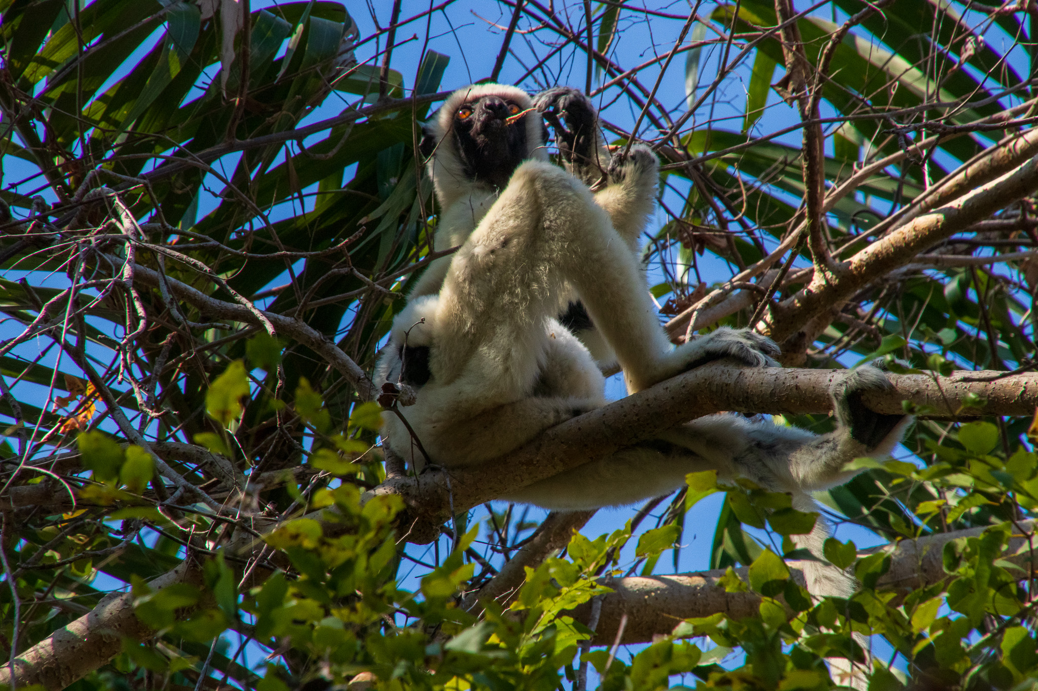 Spuntino mentre il pupo dorme