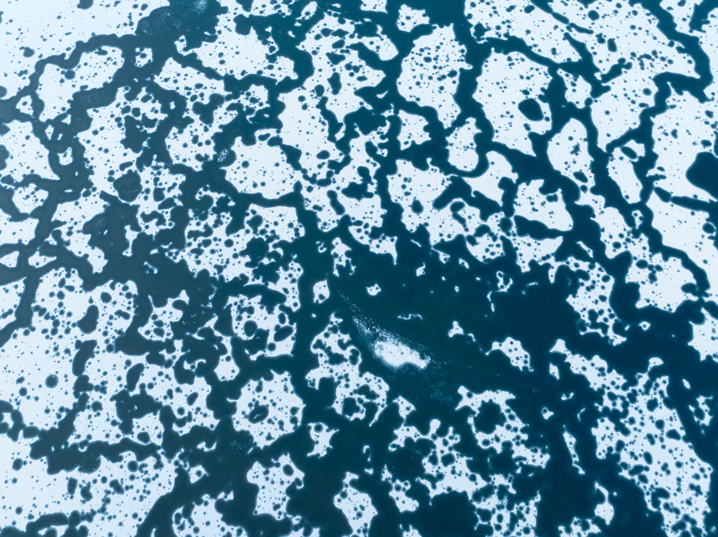 Archipelago