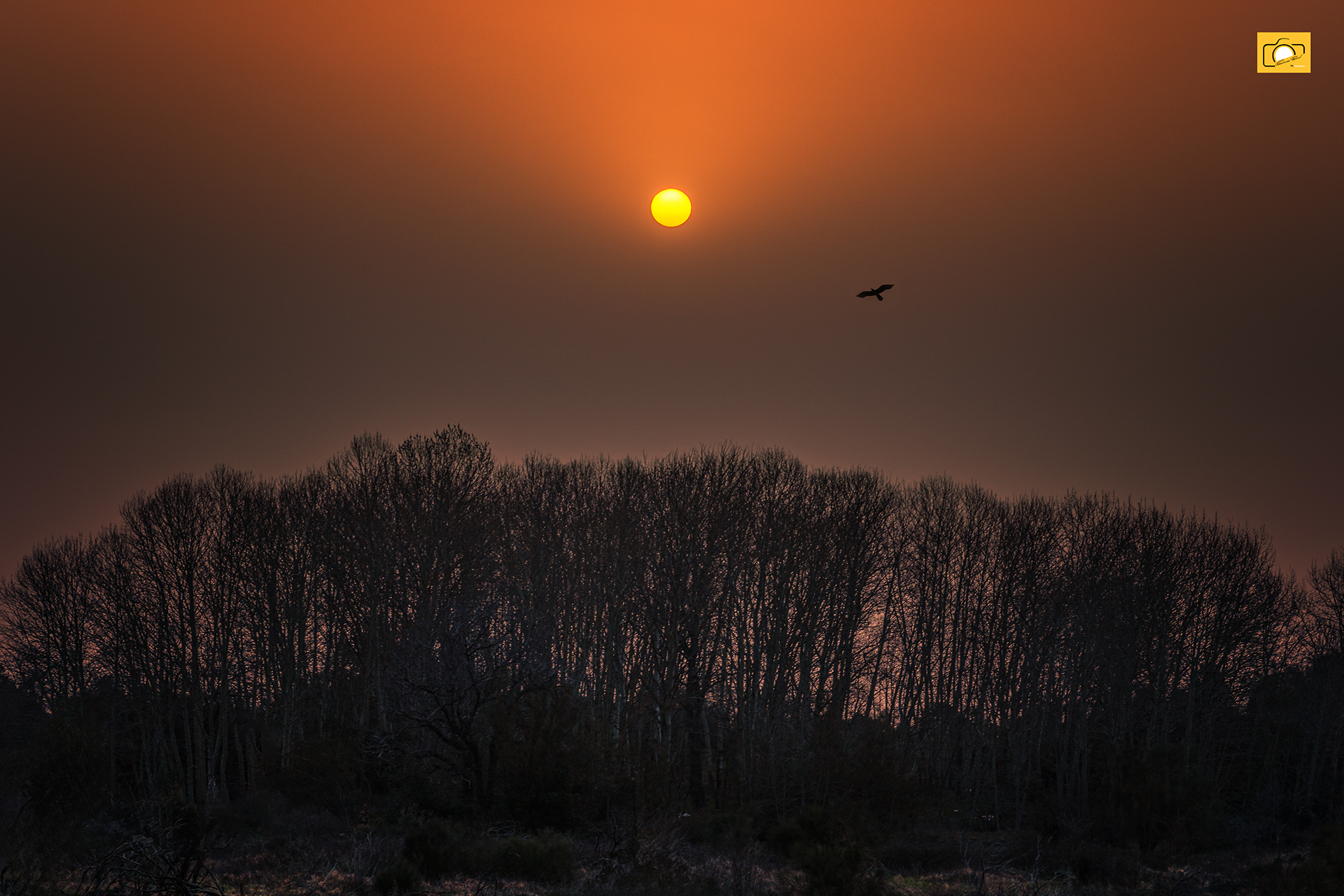 15 March Sunrise on Etna