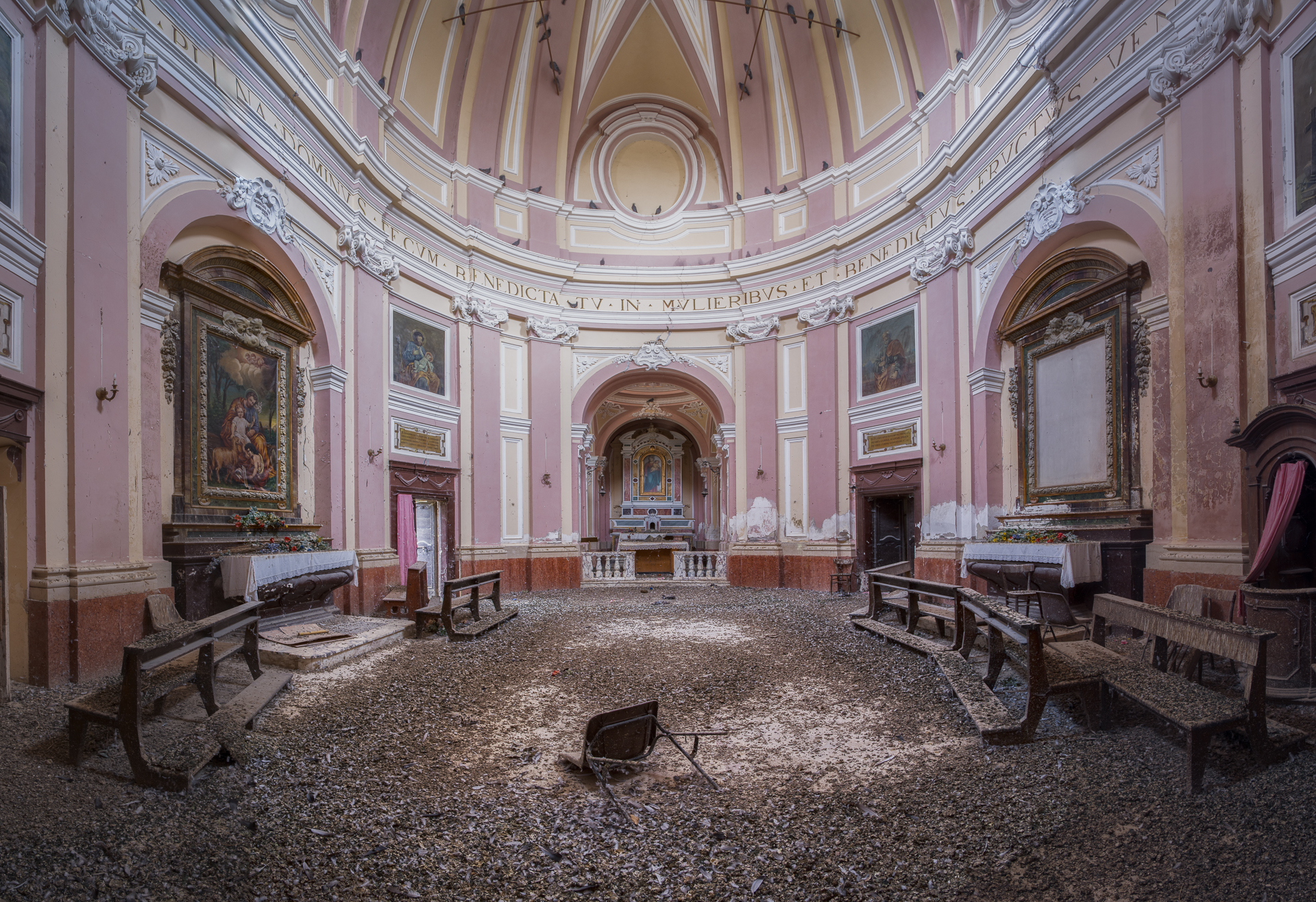 Non si estin..guano mai