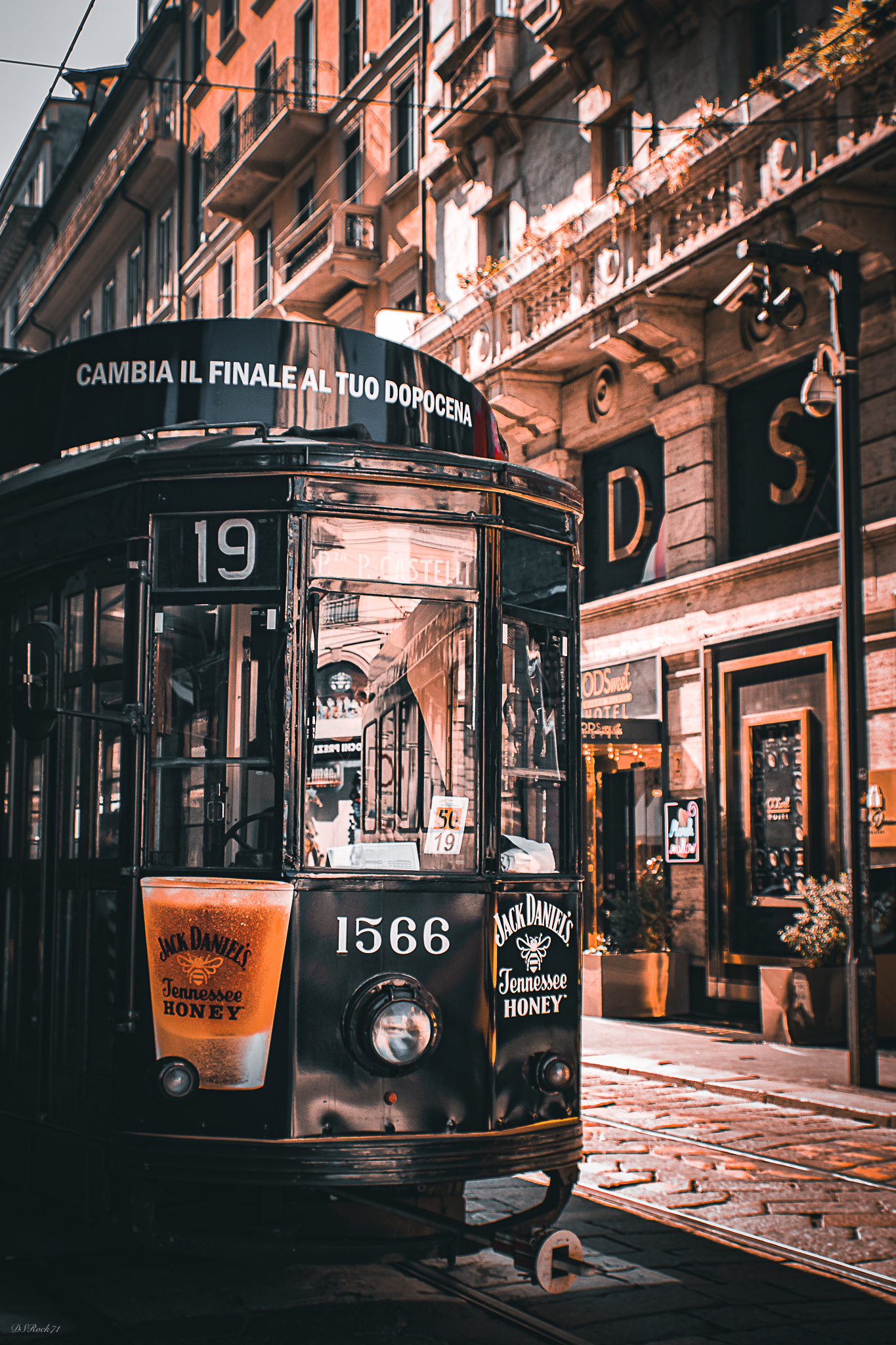 Sweet Jack in the city