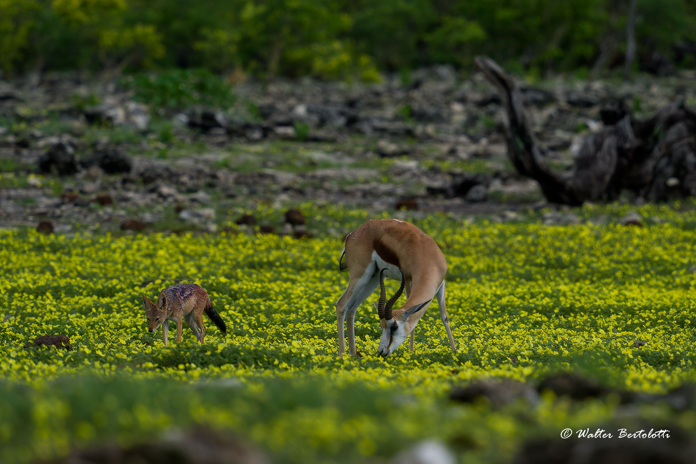 stiamo vicini vicini...ma non troppo