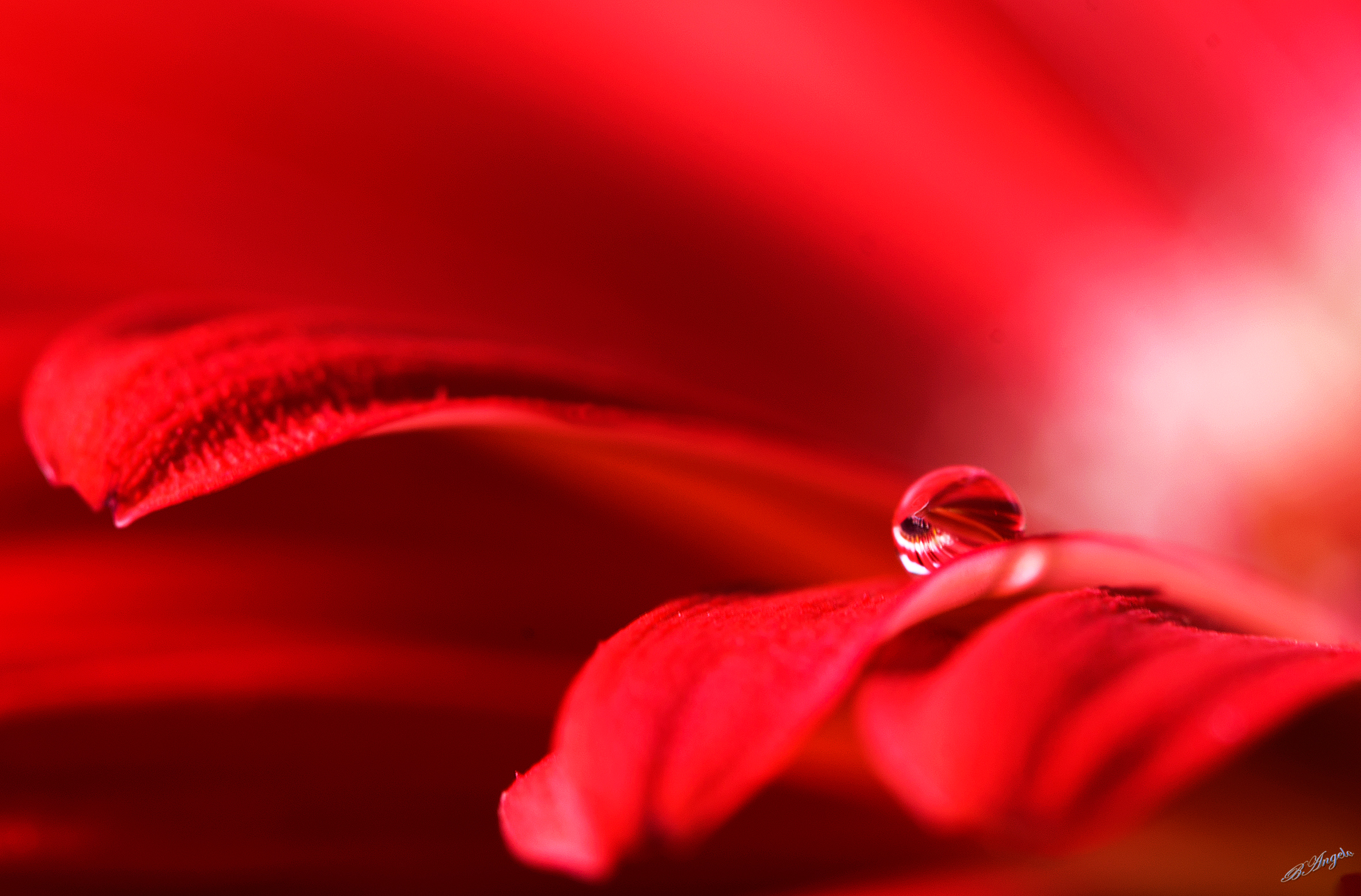 " profondo Rosso "