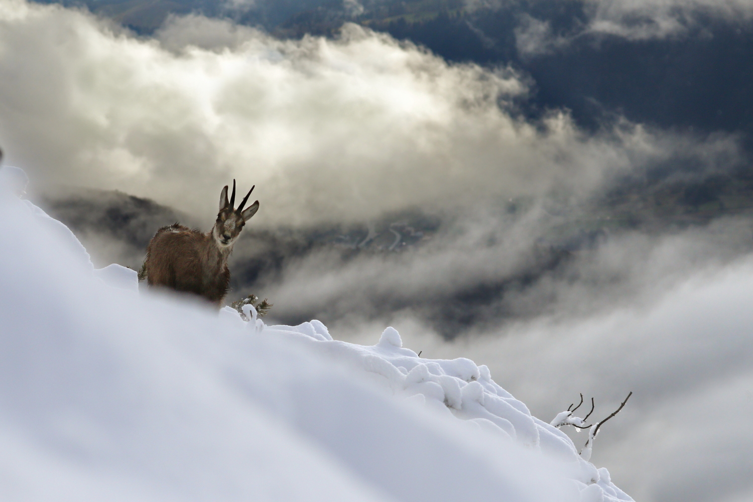 Between snow and clouds