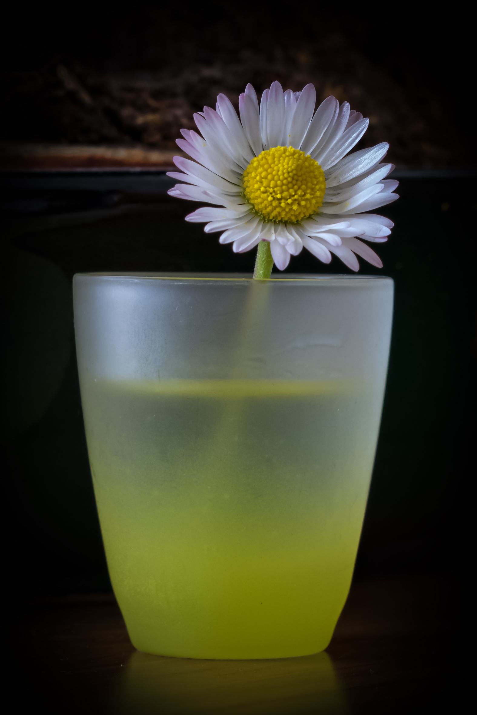 Untitled Photo