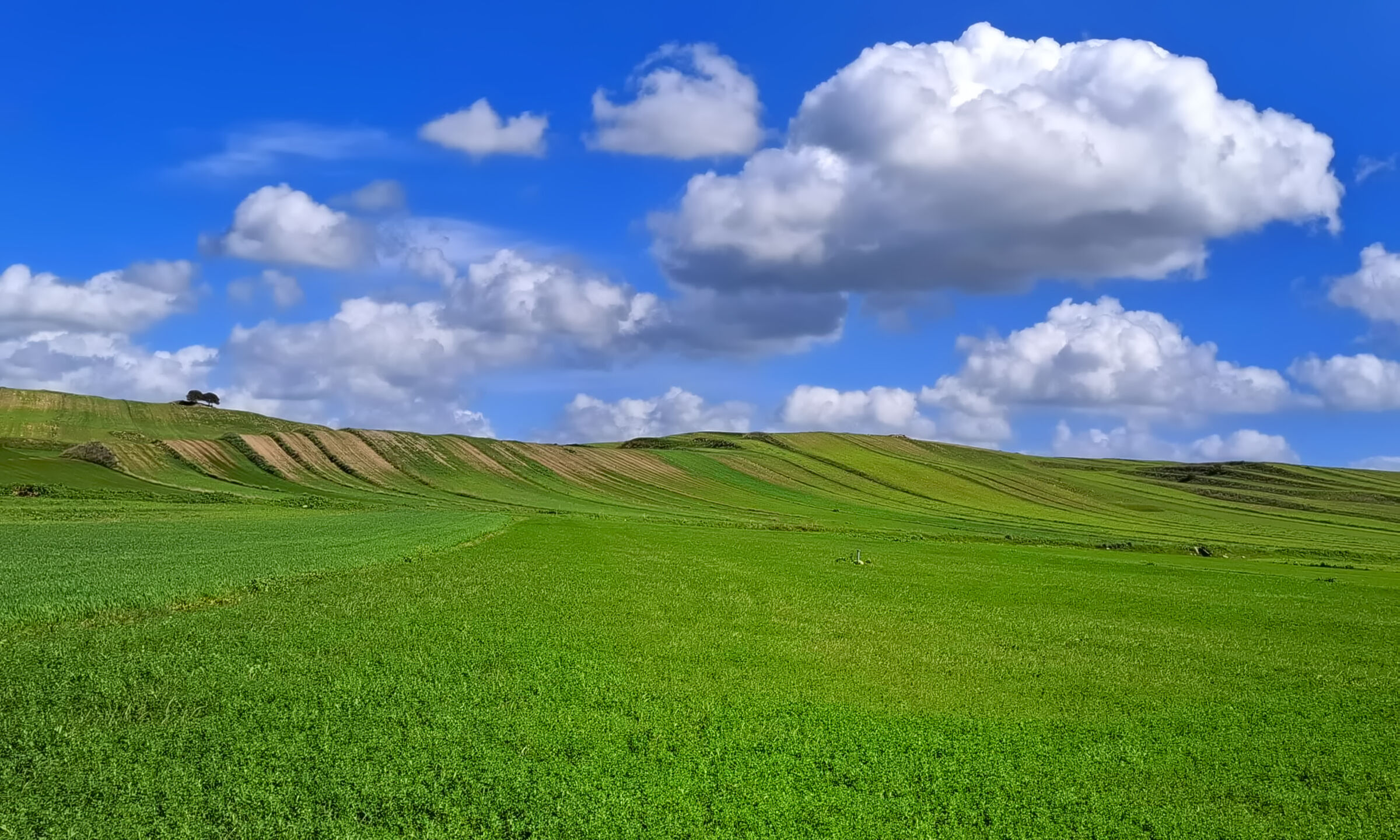 Le nuvole - Fabrizio de Andrè