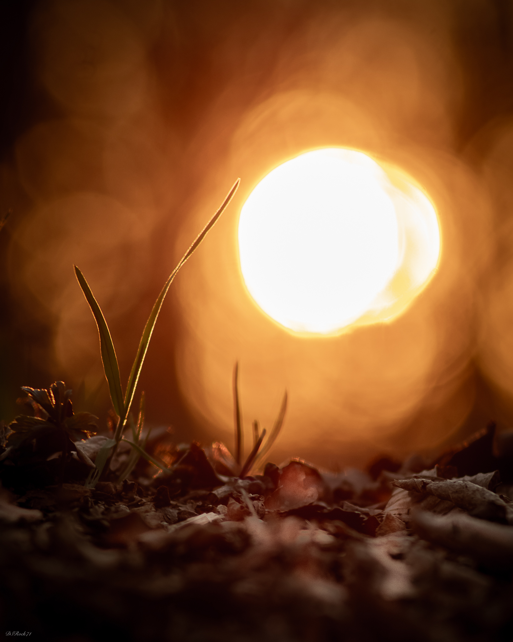 Subito prima delle tenebre