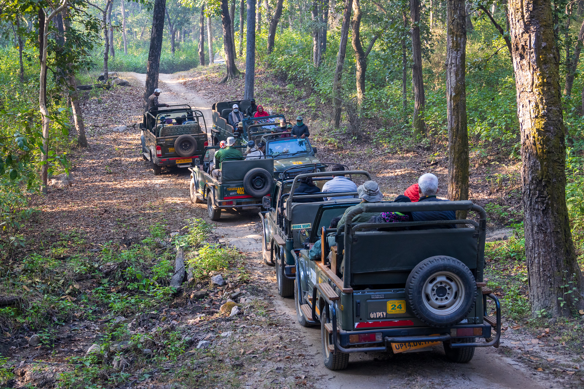 Avete visto qualcosa